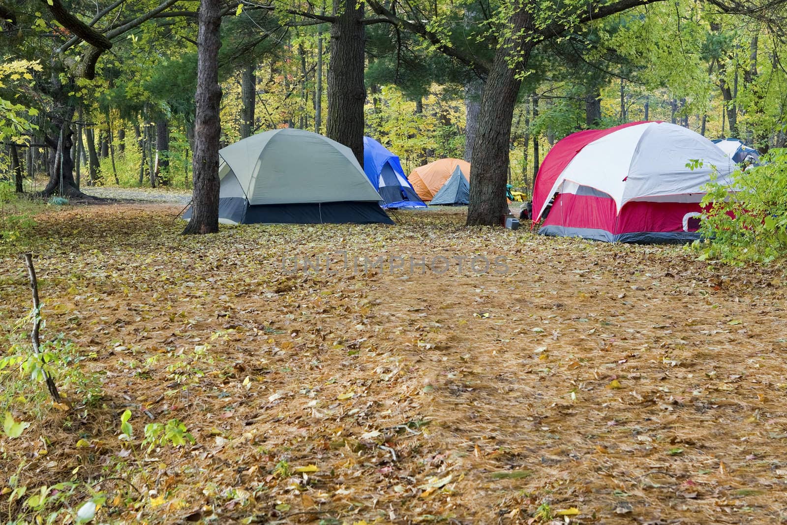 Camping and tents set up in the park.