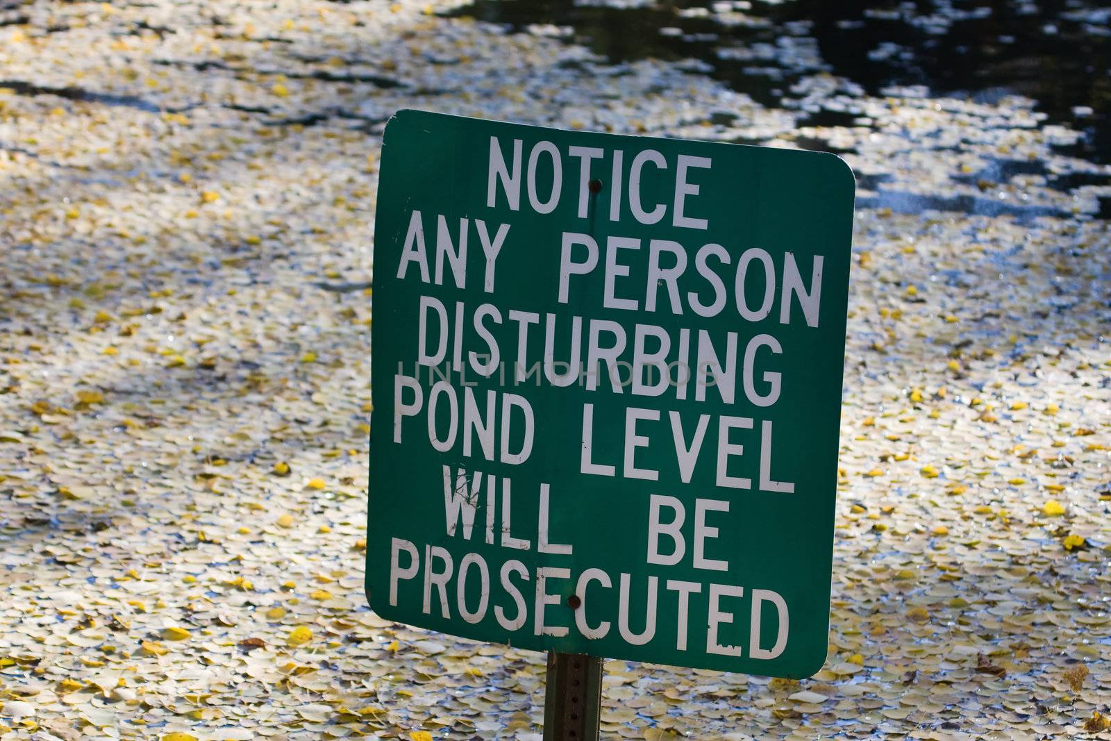 Do not disturb pond level warning sign.