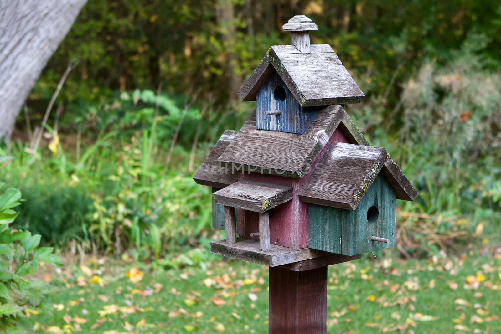 Home made wooden bird house on a pole.