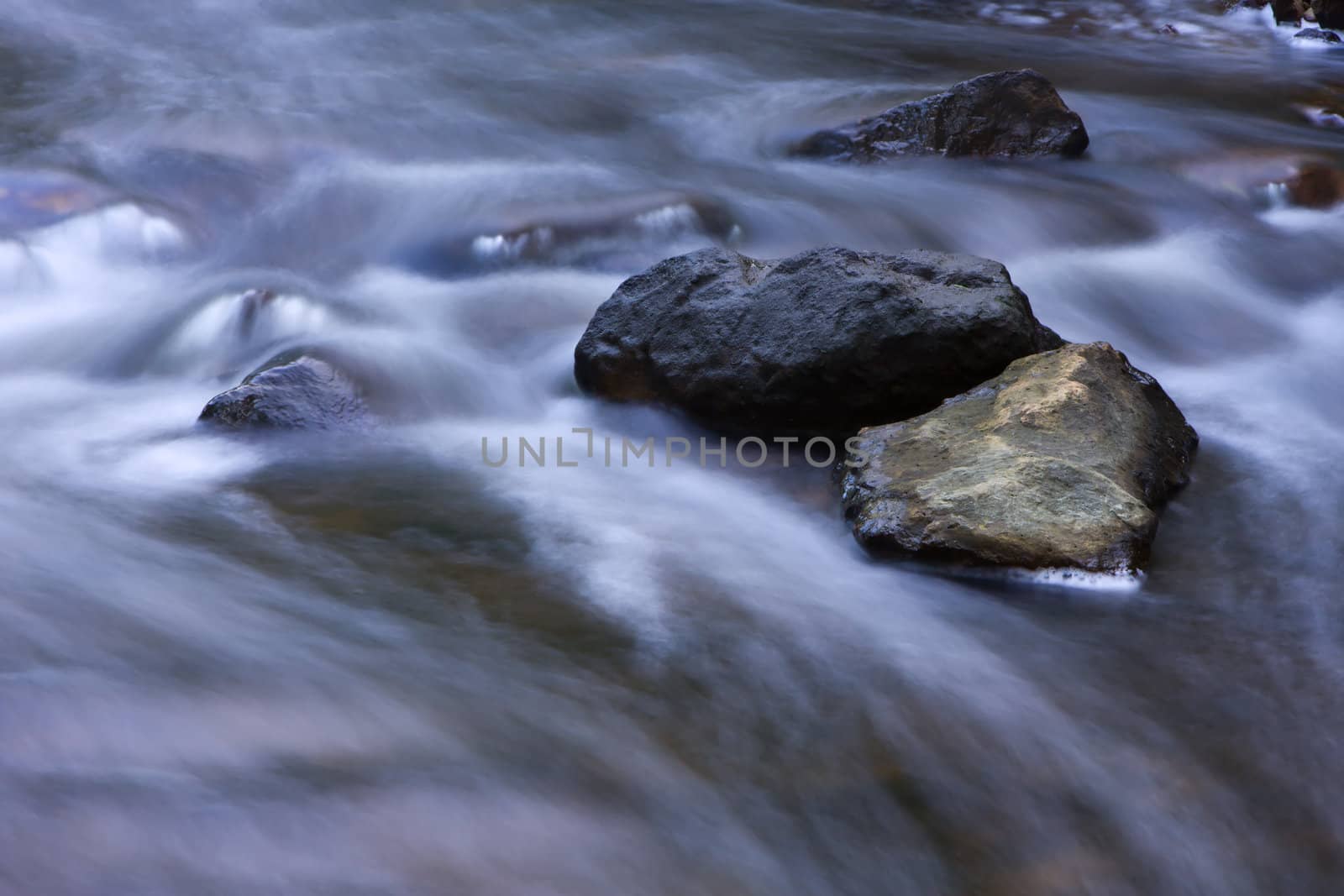 A set of rapids along the river.