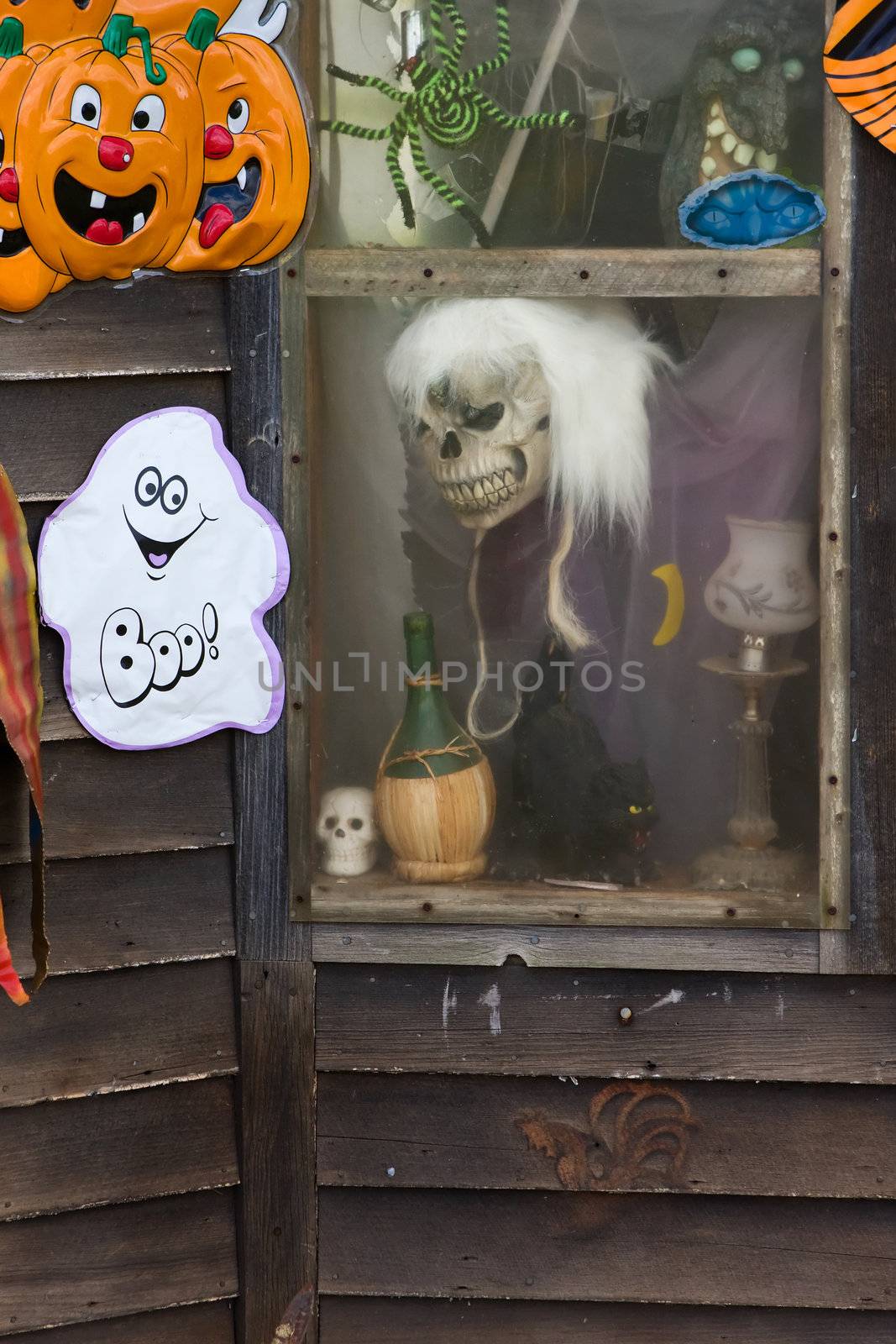 A Halloween Skull sits in a Window.