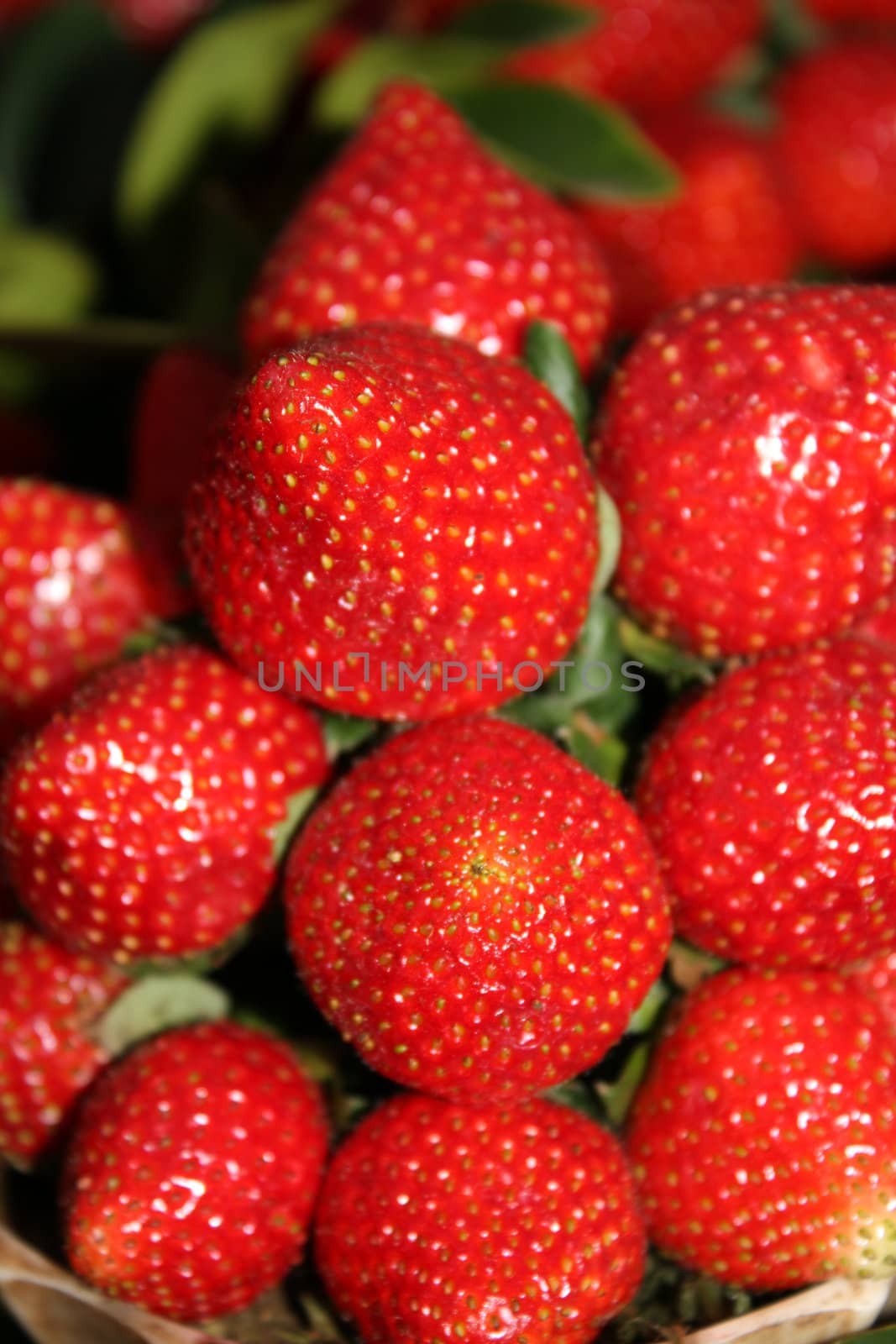 A closeup view of fresh and juicy strawberries.