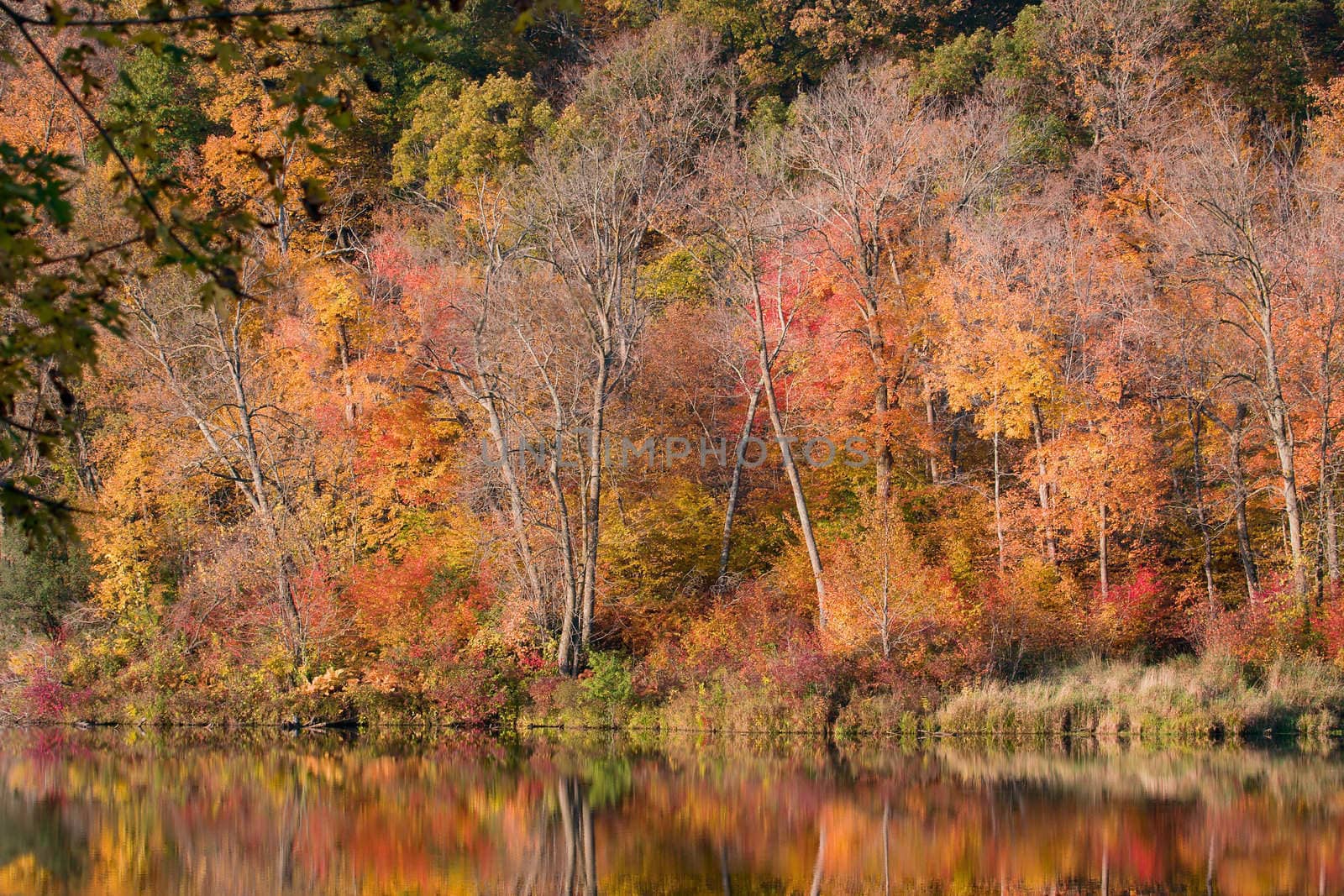 Colorful autumn colors at William O'Brian State Park.