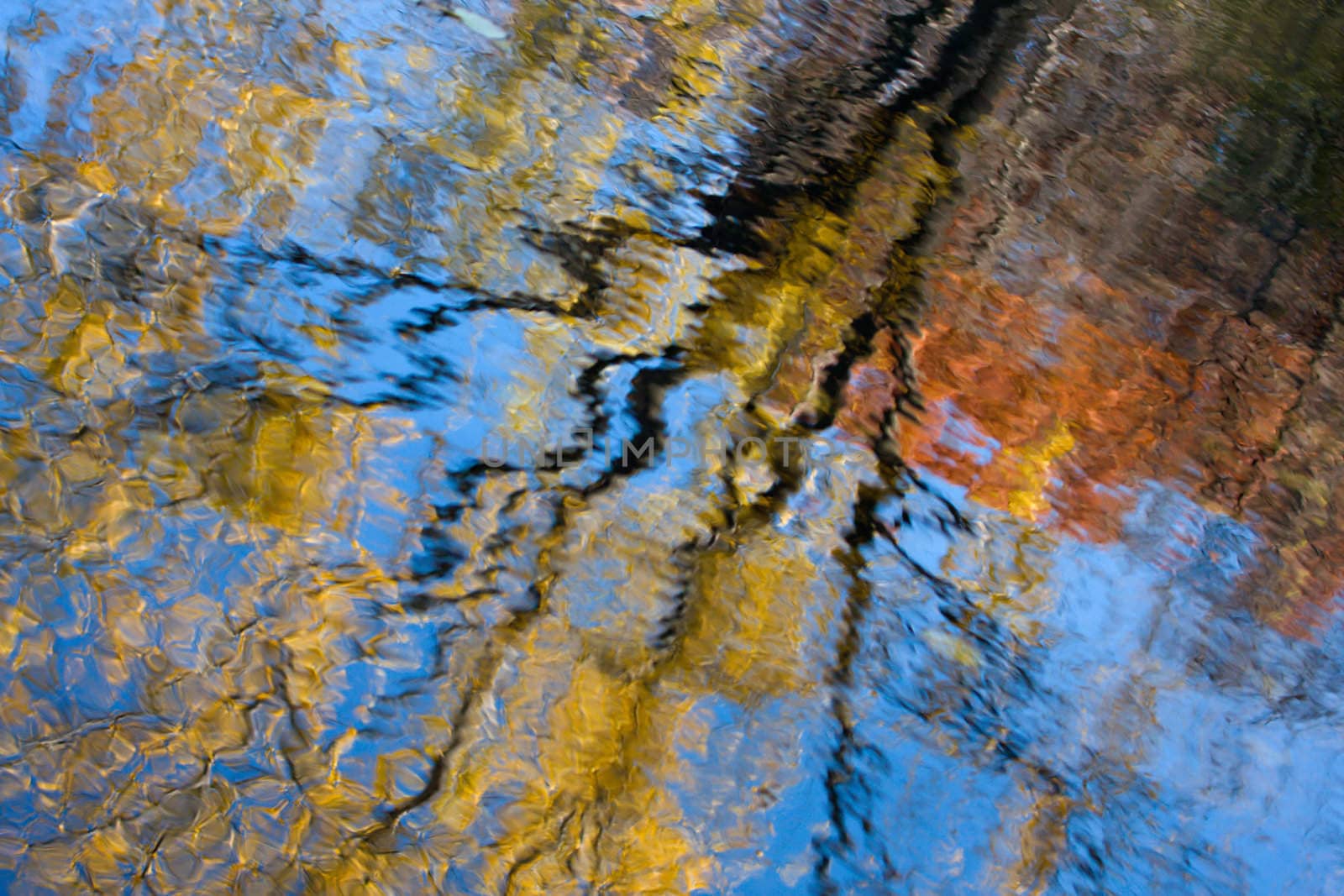 Colors of a tree reflected off the water.