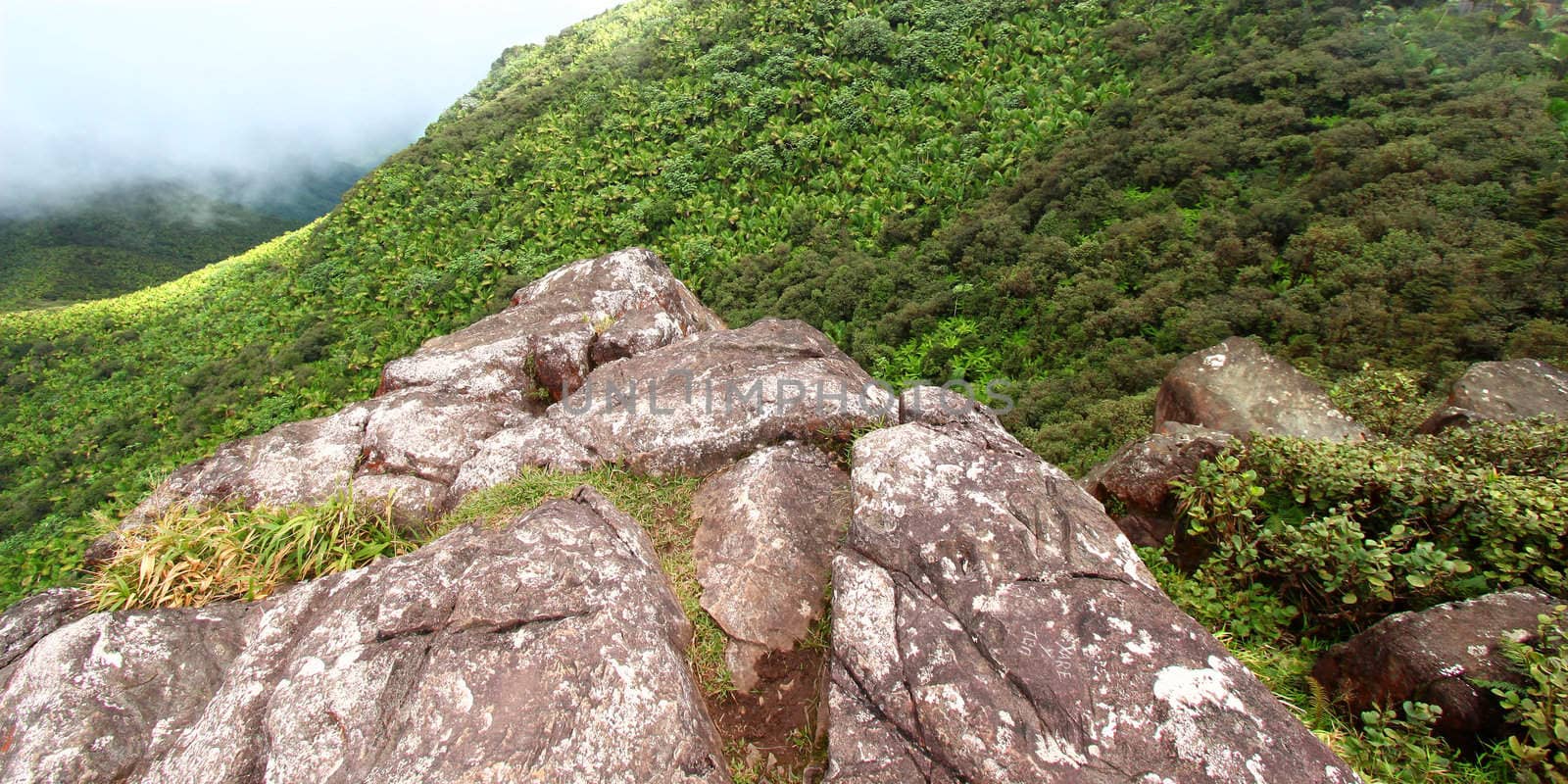 View of the Puerto Rican landscape from the El Yunque Peak.