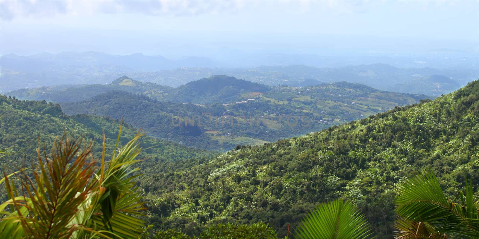 View of the Puerto Rican landscape from El Yunque Peak.