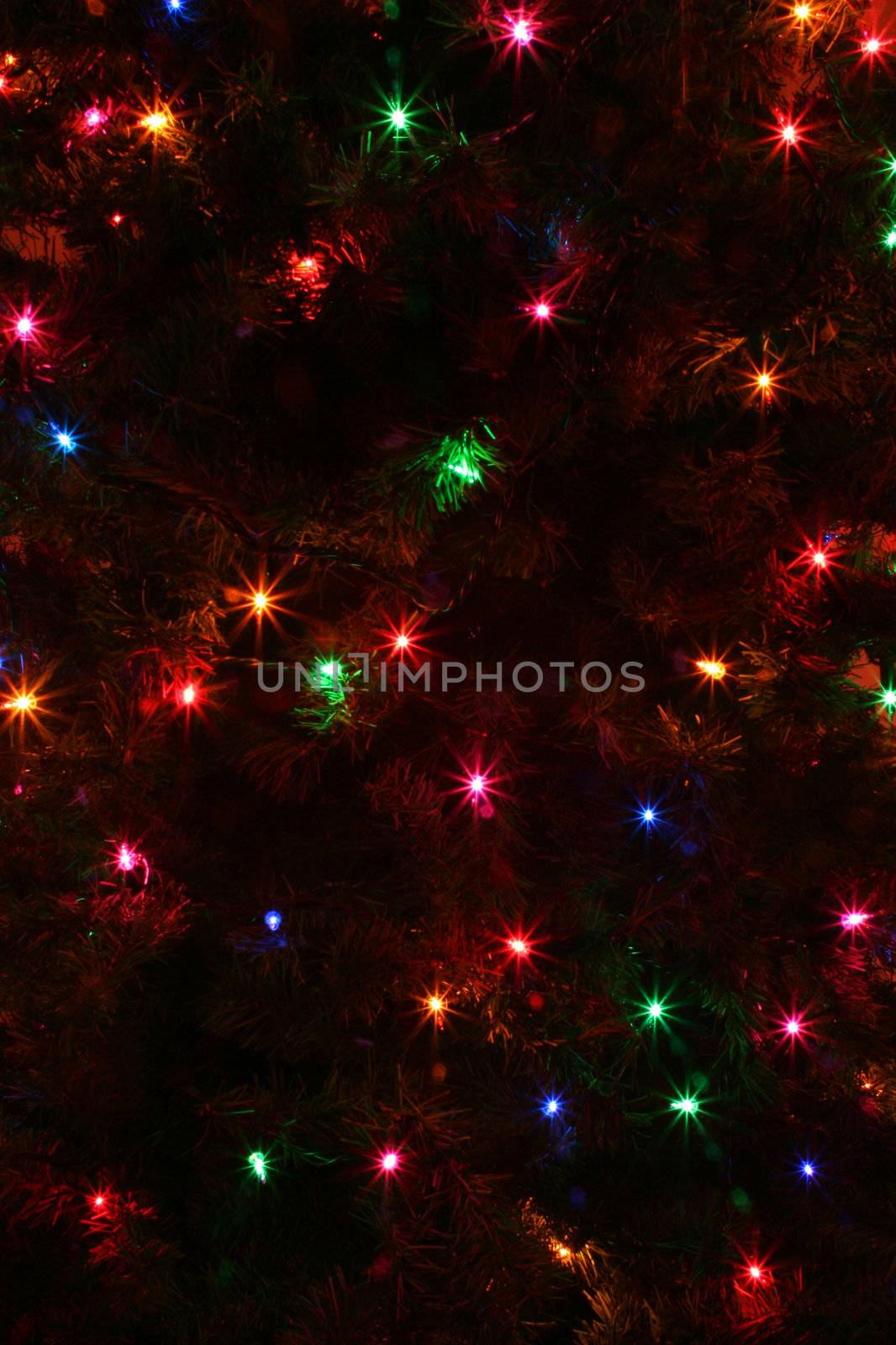 An abstract of some colorful Christmas Tree lights.