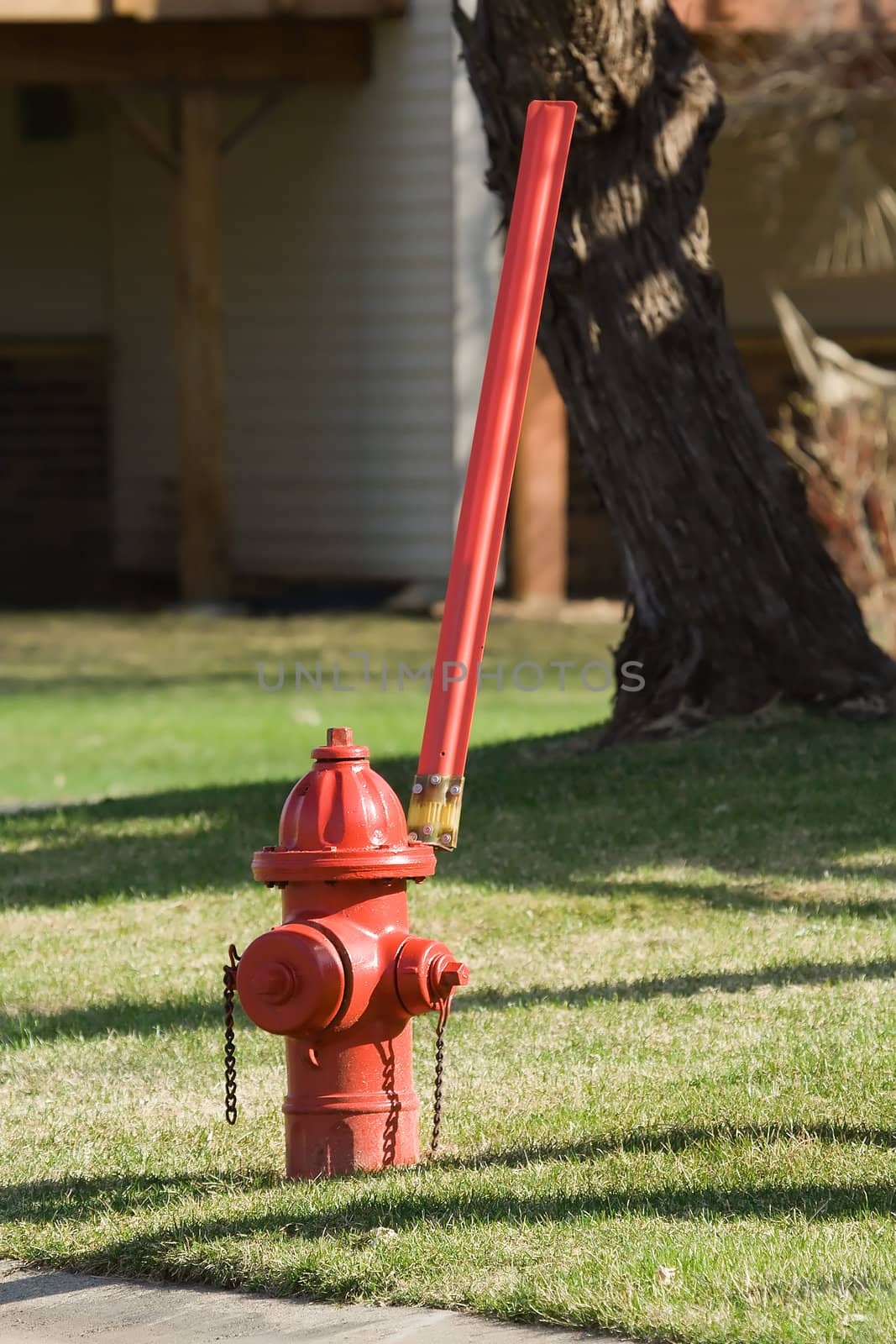 Fire Hydrant with a big flag attched to it.