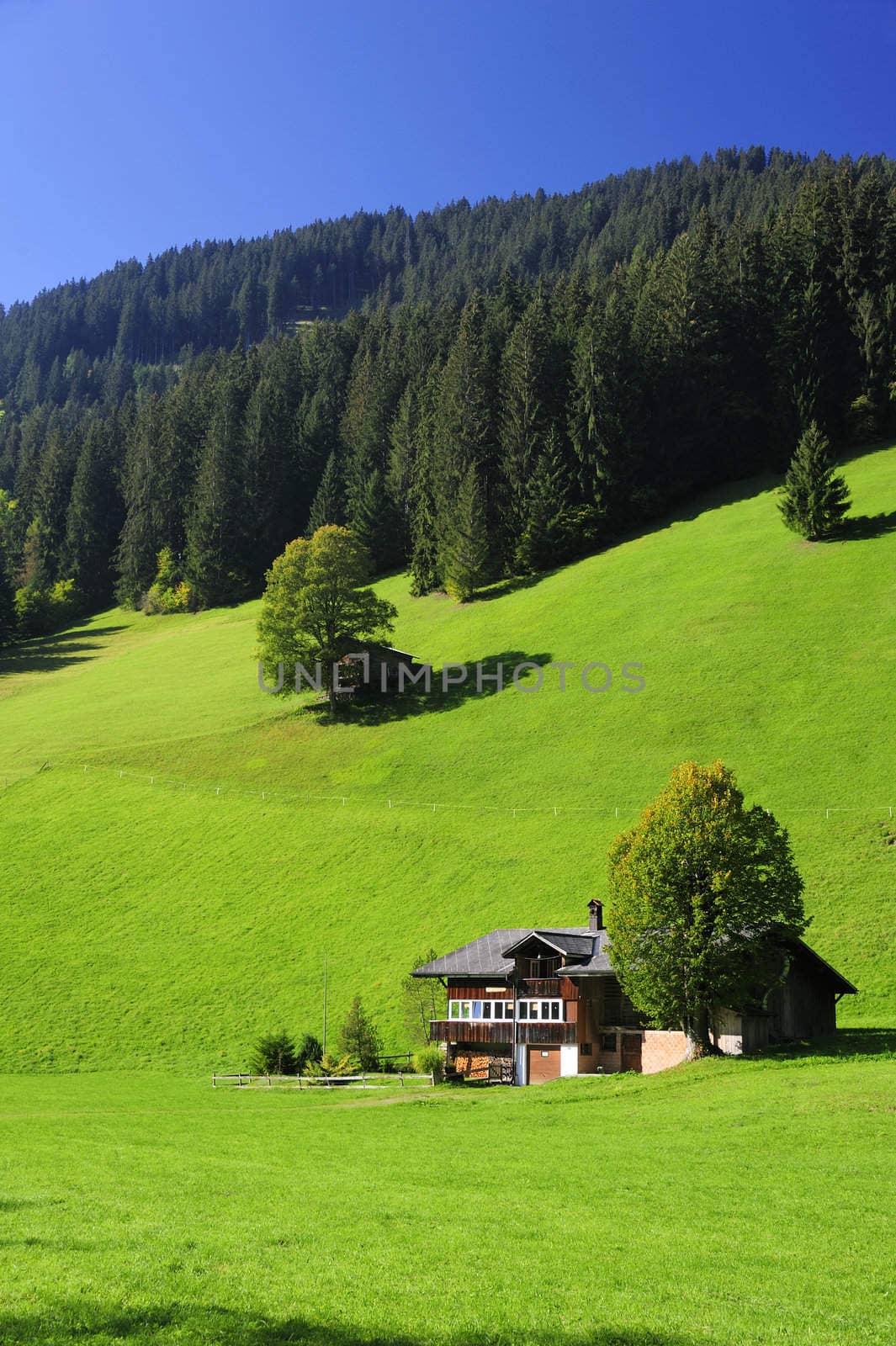 A Swiss farmhouse in verdant green fields. Space for text in the clear blue sky