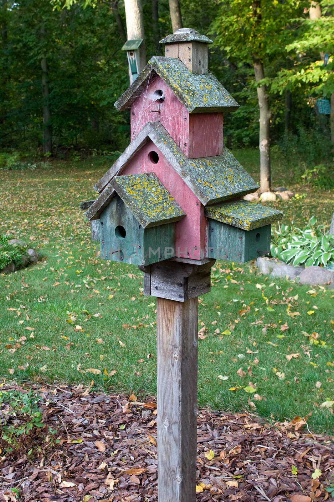 Abandoned Bird House with spider webs at the front door.