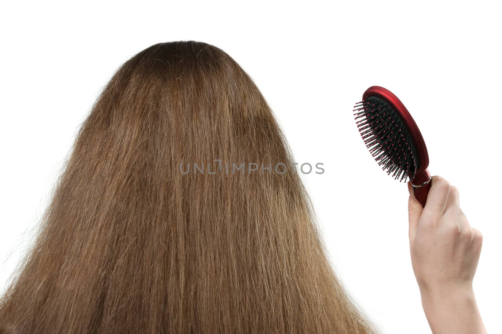The girl with long hair and a hairbrush. The rear view. It is isolated on a white background