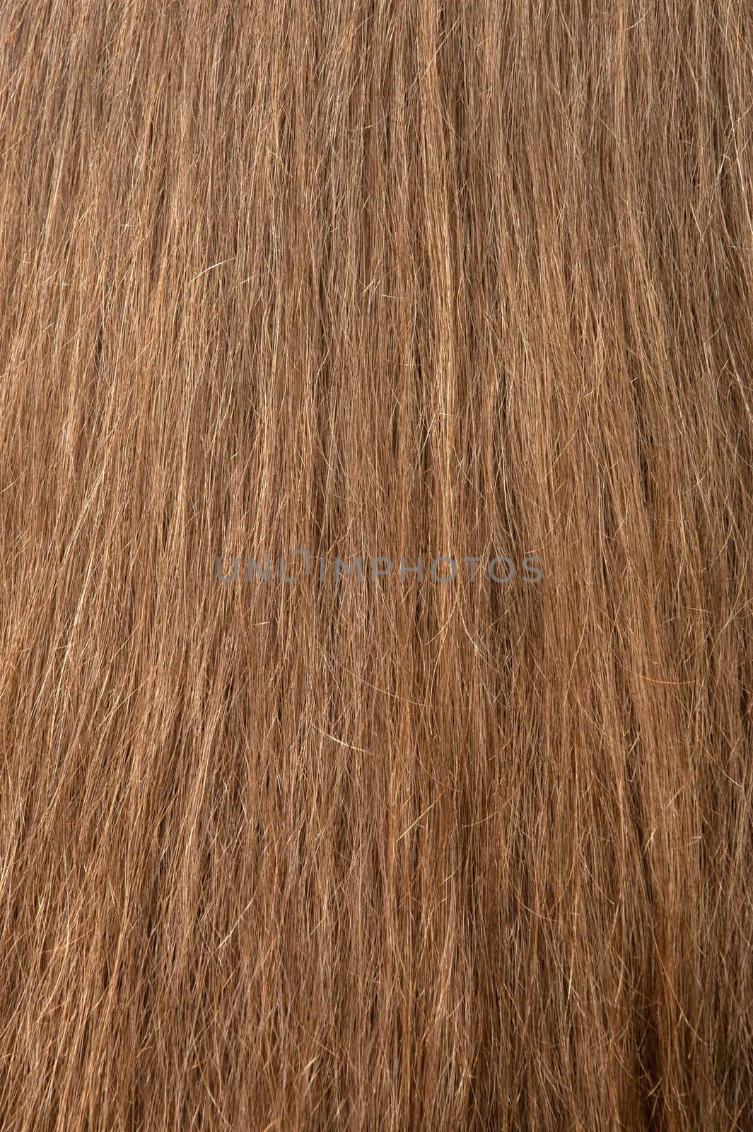 Female hair texture. The rear view