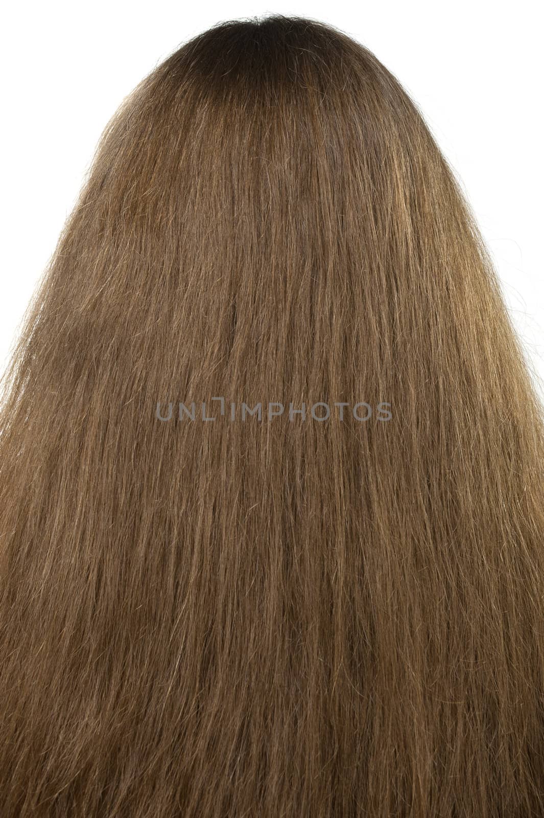 Female hair close up. The rear view