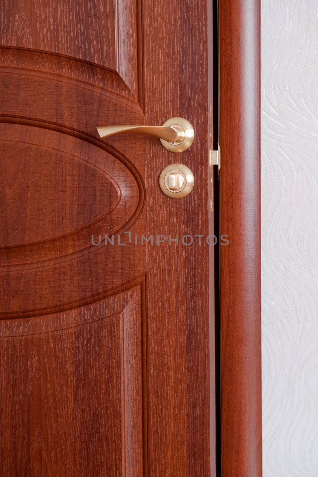 The door handle. A wooden door, brass handles.