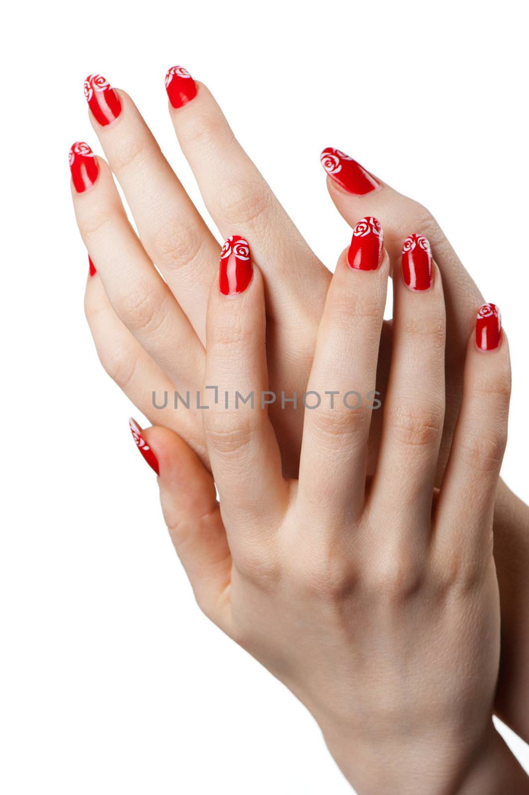 Female hands with French manicure. It is isolated on a white background