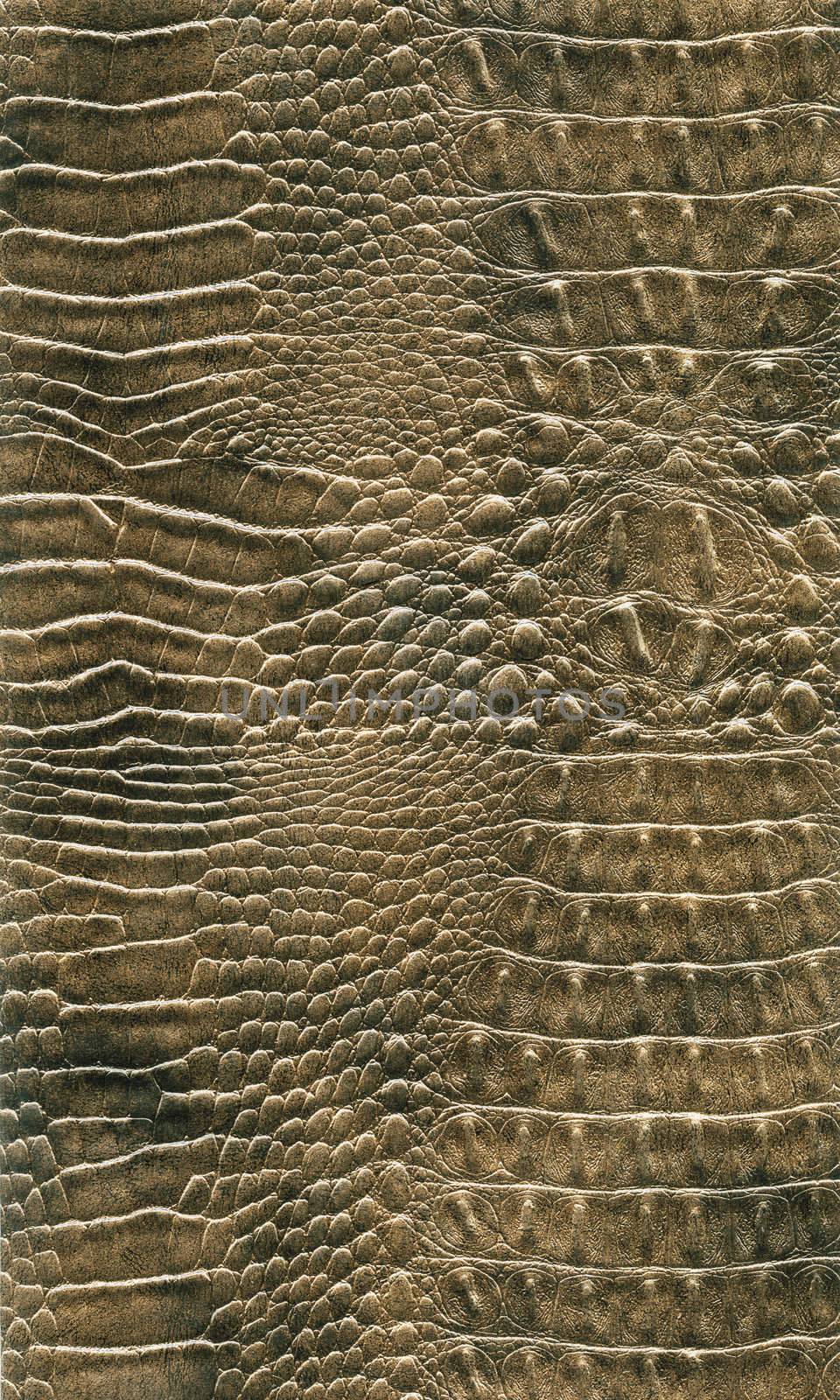 scanned texture of artificial leather