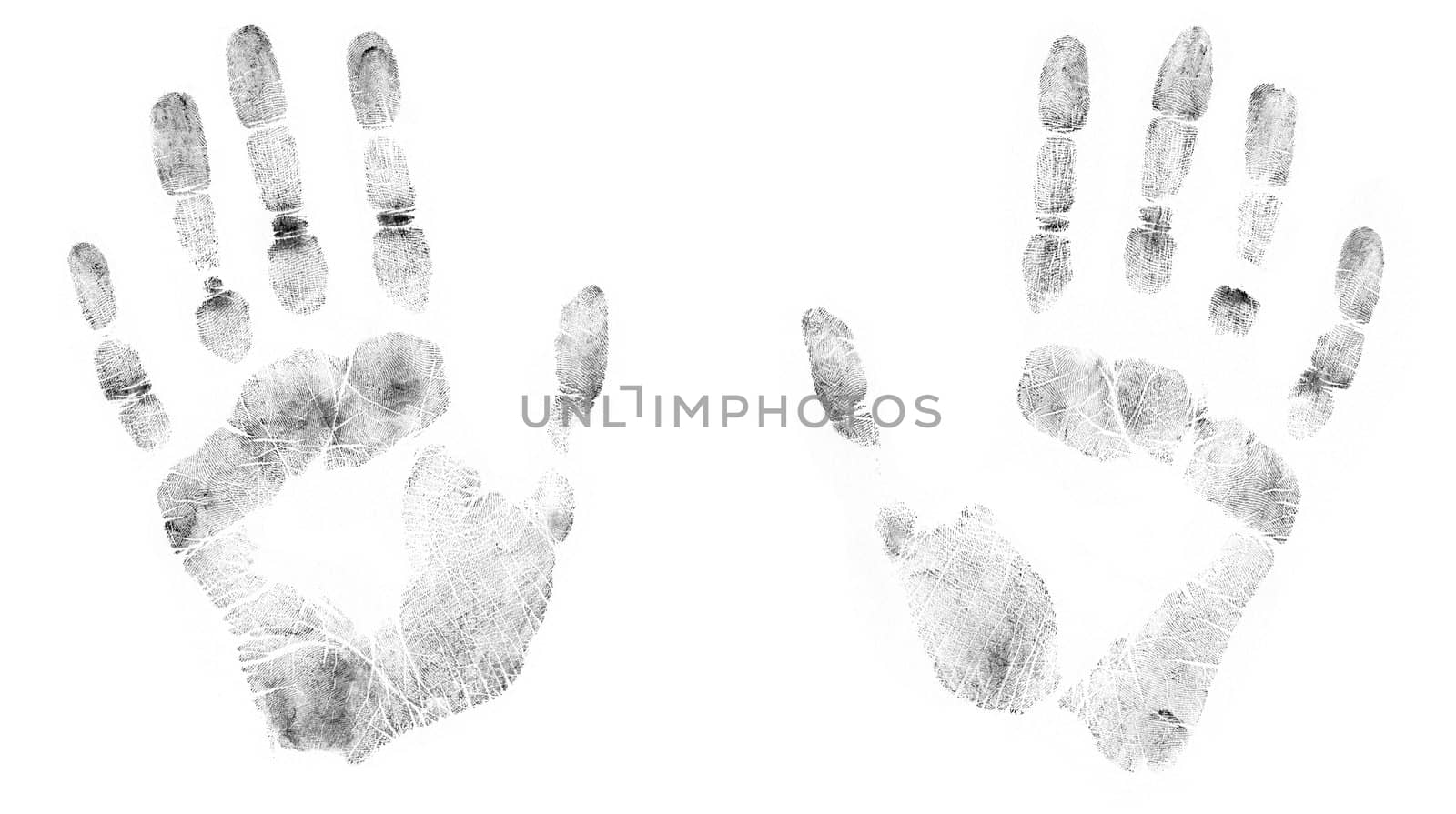 Print of human hands. The detailed image. It is isolated on a white background