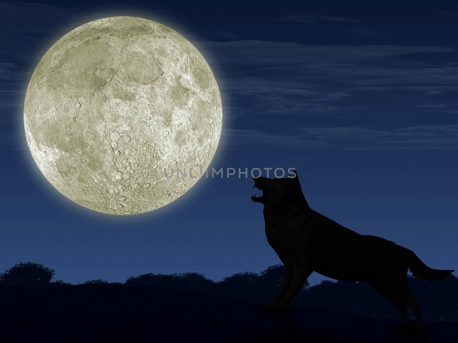 The wolf and the moon. The detailed illustration of an animal and beautiful landscape.