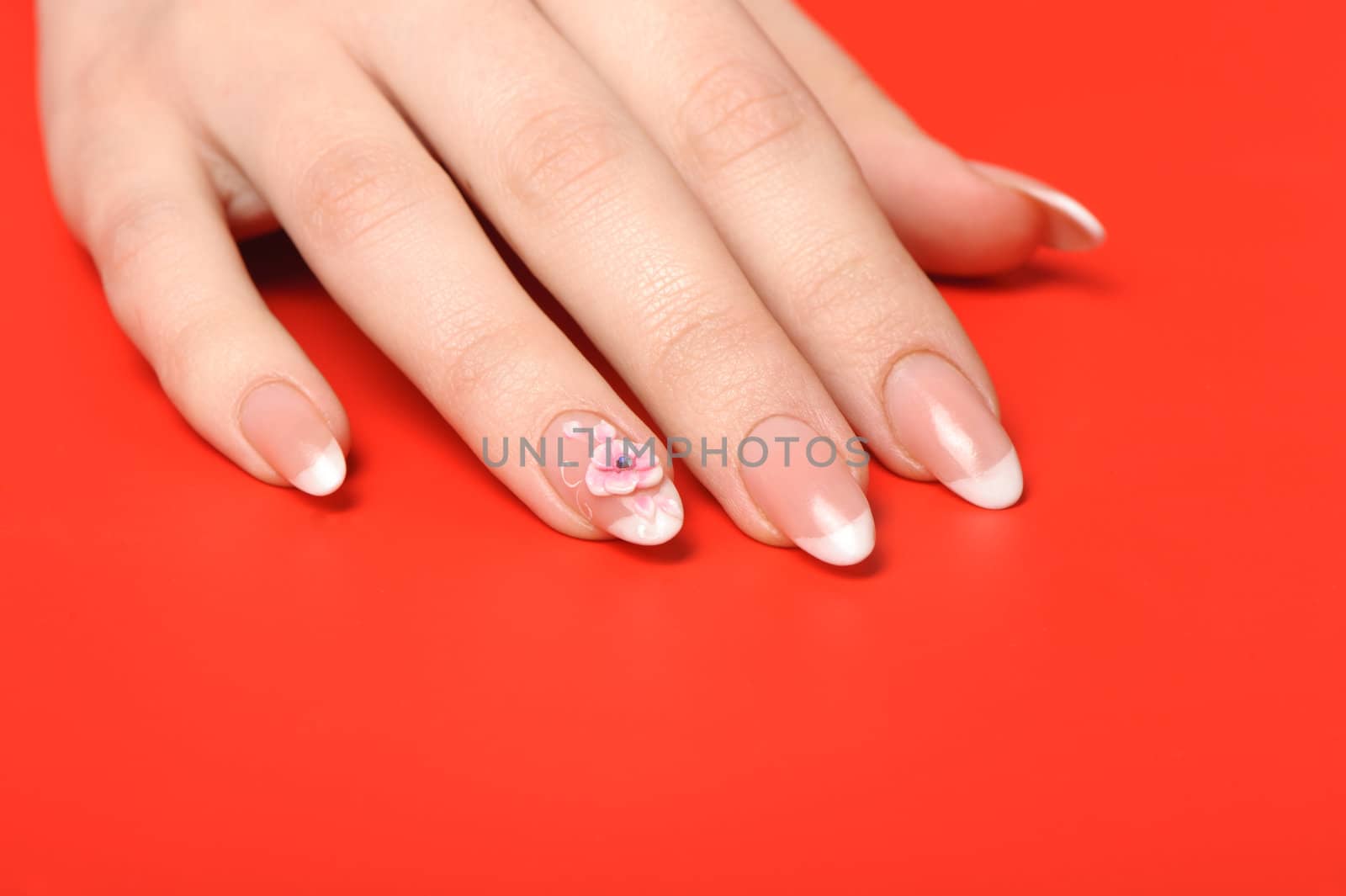 Manicure. Female hands on red background. Well-groomed female hands with a decorative element - a flower