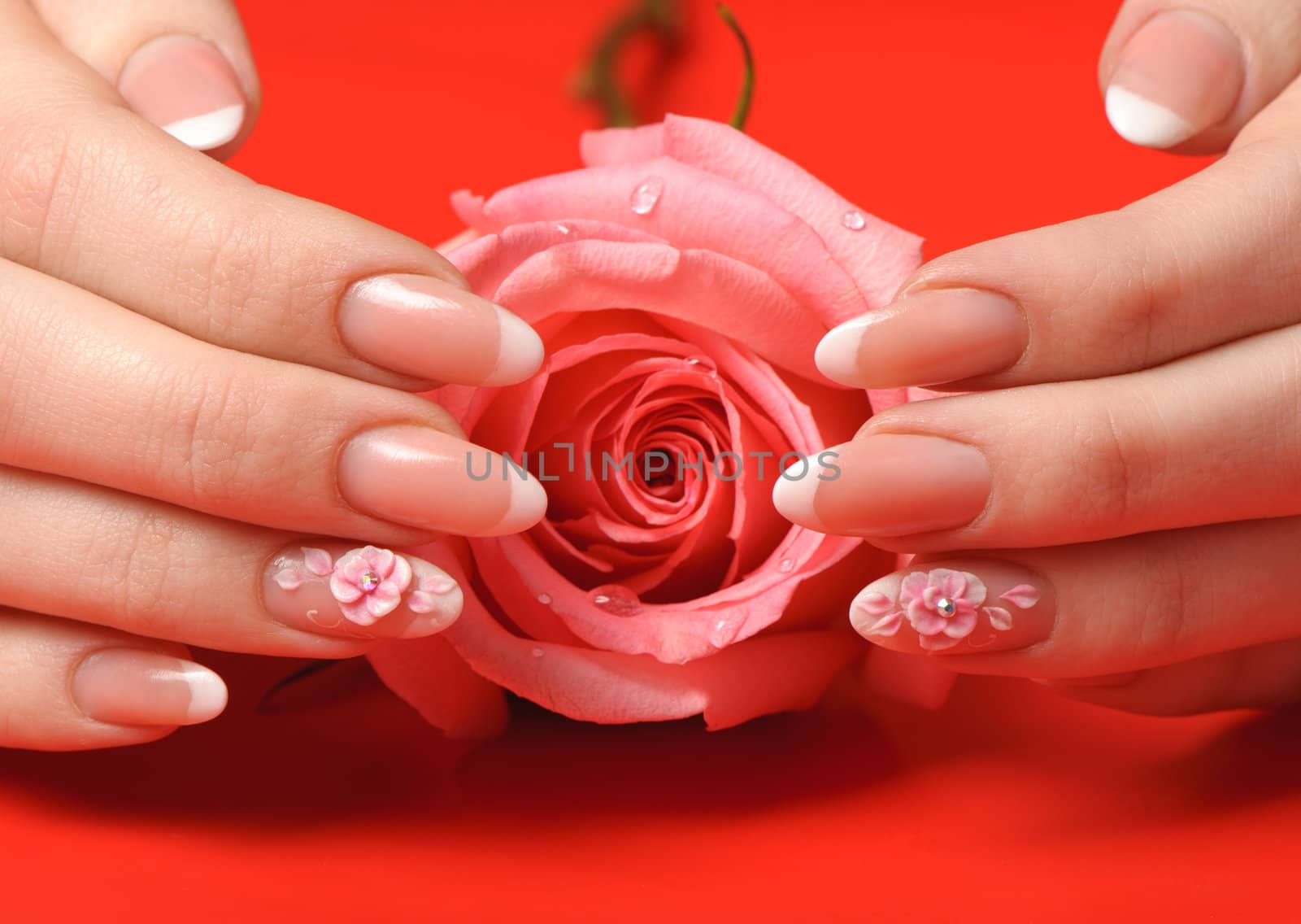 Manicure. Female hands on red background. Well-groomed female hands with a decorative element - a flower