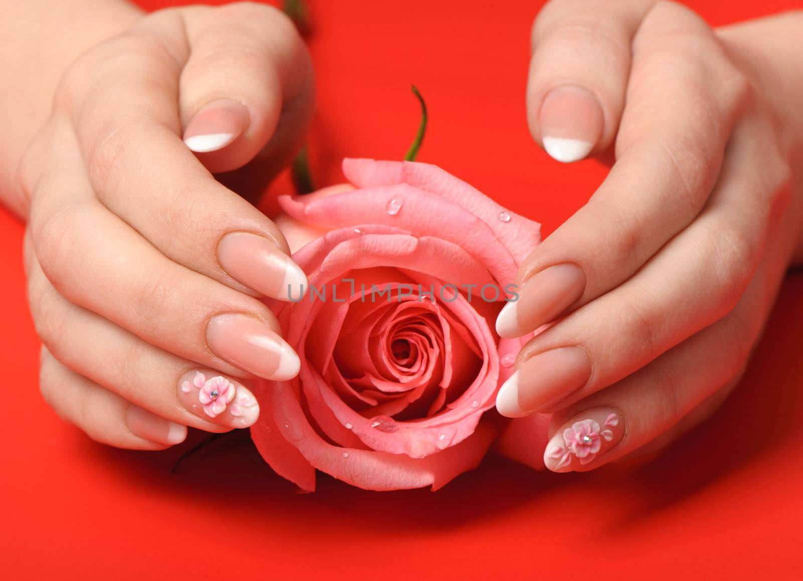 Manicure. Female hands on red background. Well-groomed female hands with a decorative element - a flower