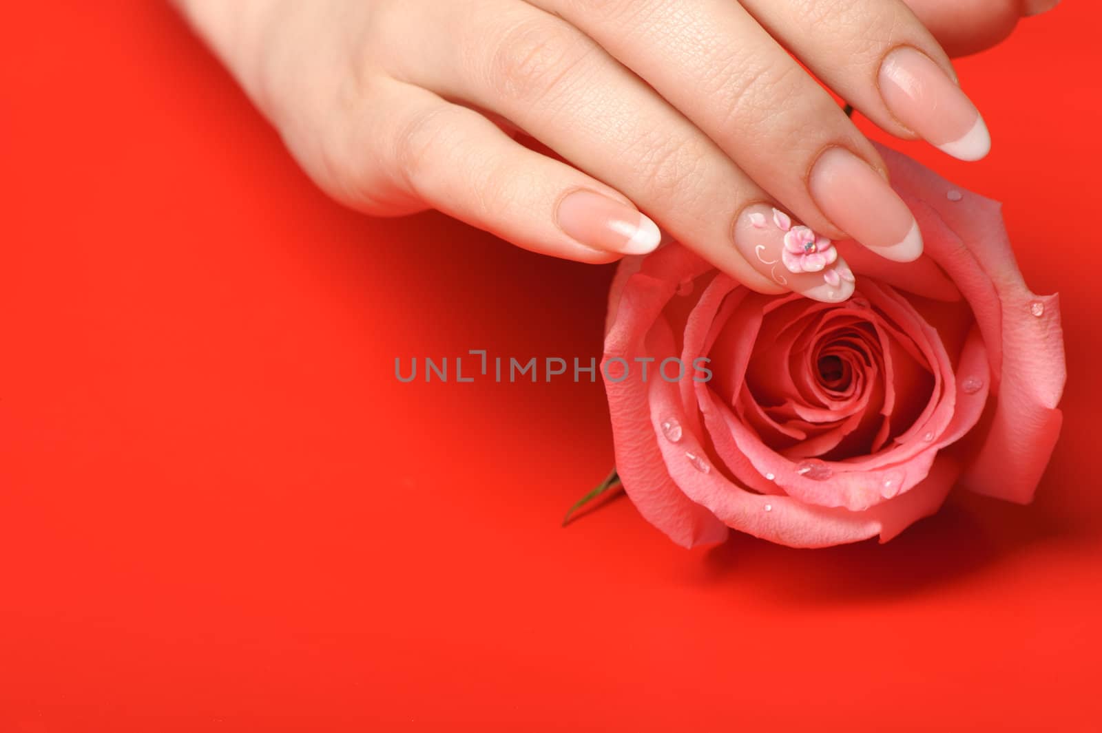 Manicure. Female hands on red background. Well-groomed female hands with a decorative element - a flower