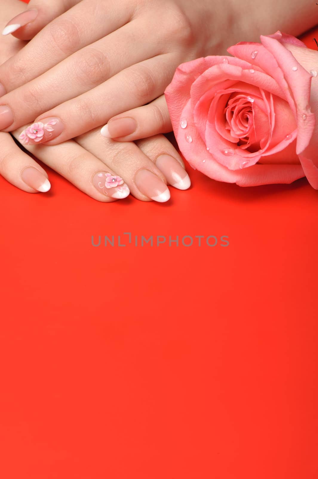 Manicure. Female hands on red background. Well-groomed female hands with a decorative element - a flower