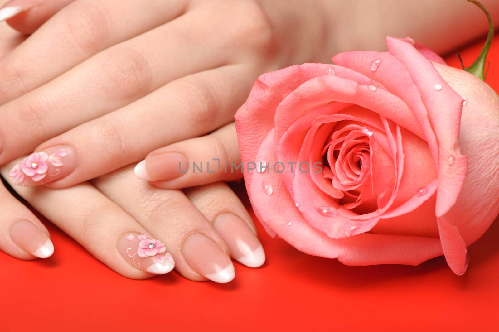 Manicure. Female hands on red background. Well-groomed female hands with a decorative element - a flower