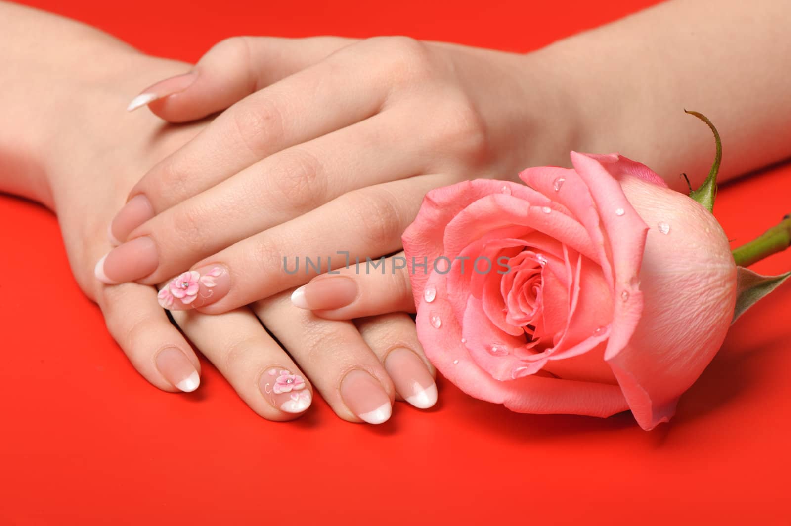Manicure. Female hands on red background. Well-groomed female hands with a decorative element - a flower