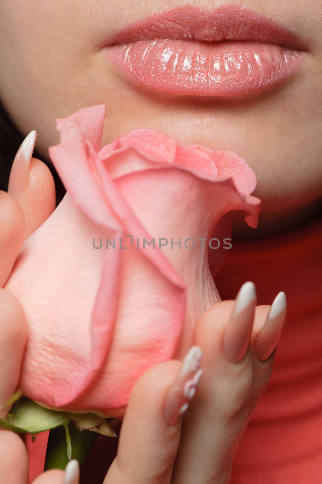 The woman with a rose. A photo close up parts of the person and a flower