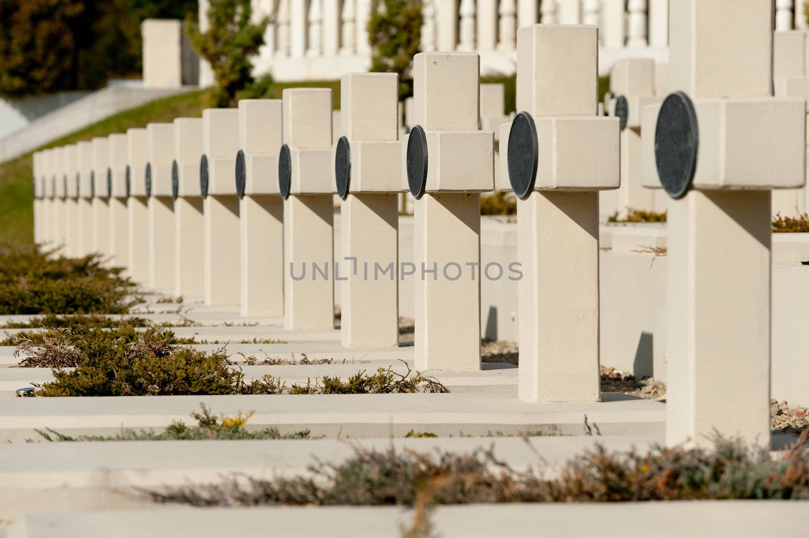 Military cemetery. Since its creation in 1787 Lychakiv Cemetery Lvov, Ukraine