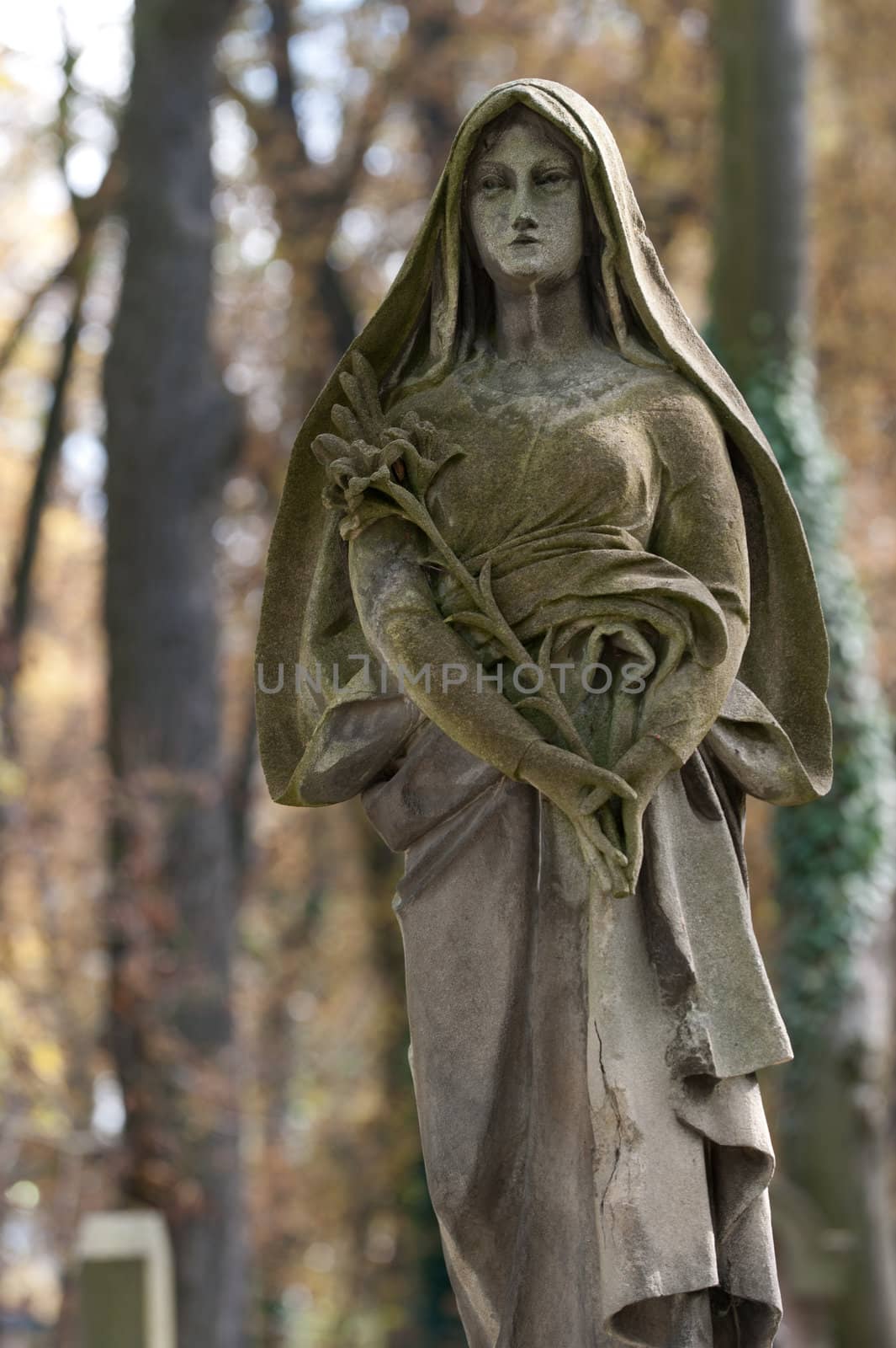 Monument Lady of Guadalupe on a cemetery. Since its creation in 1787 Lychakiv Cemetery Lvov, Ukraine