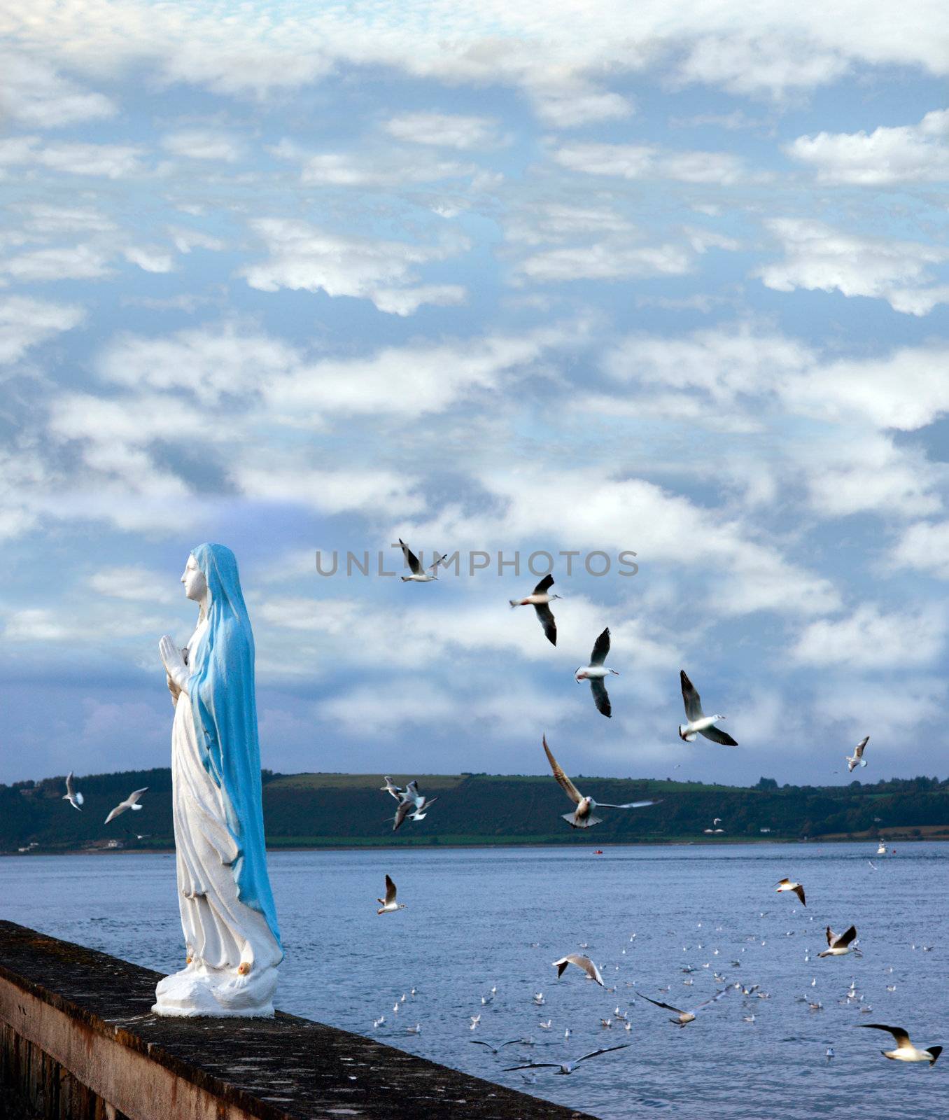 statue of the virgin mary with seagulls