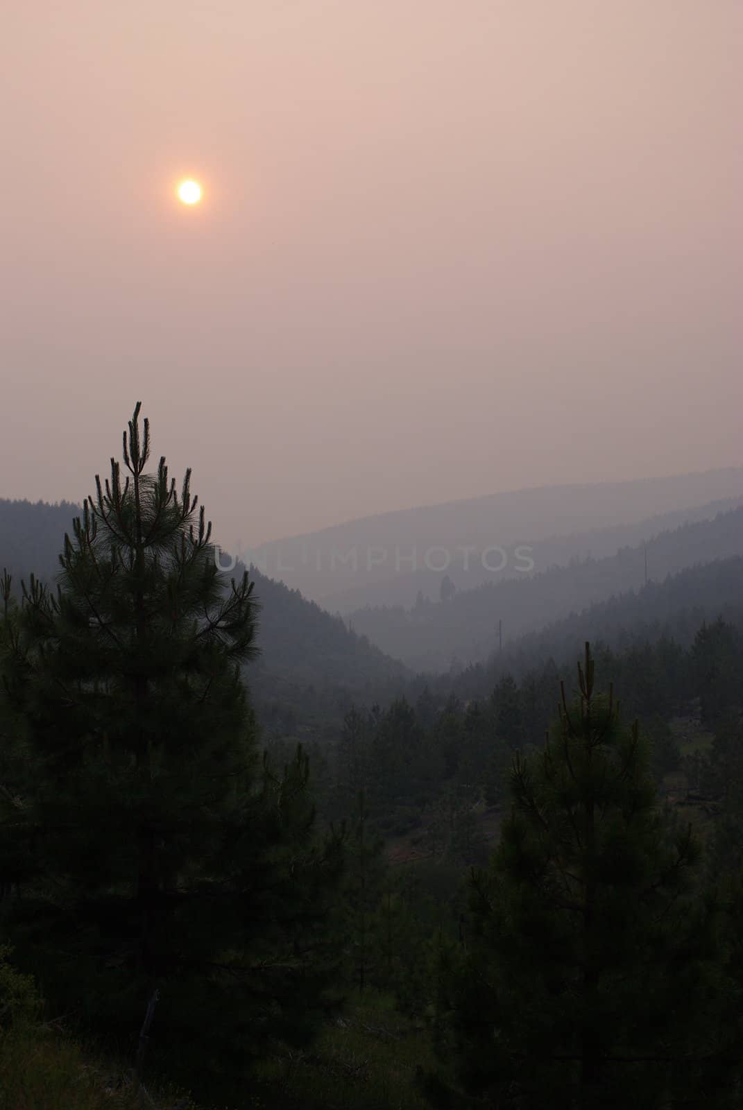 Sun setting behind forest fire smoke in the California Sierra's