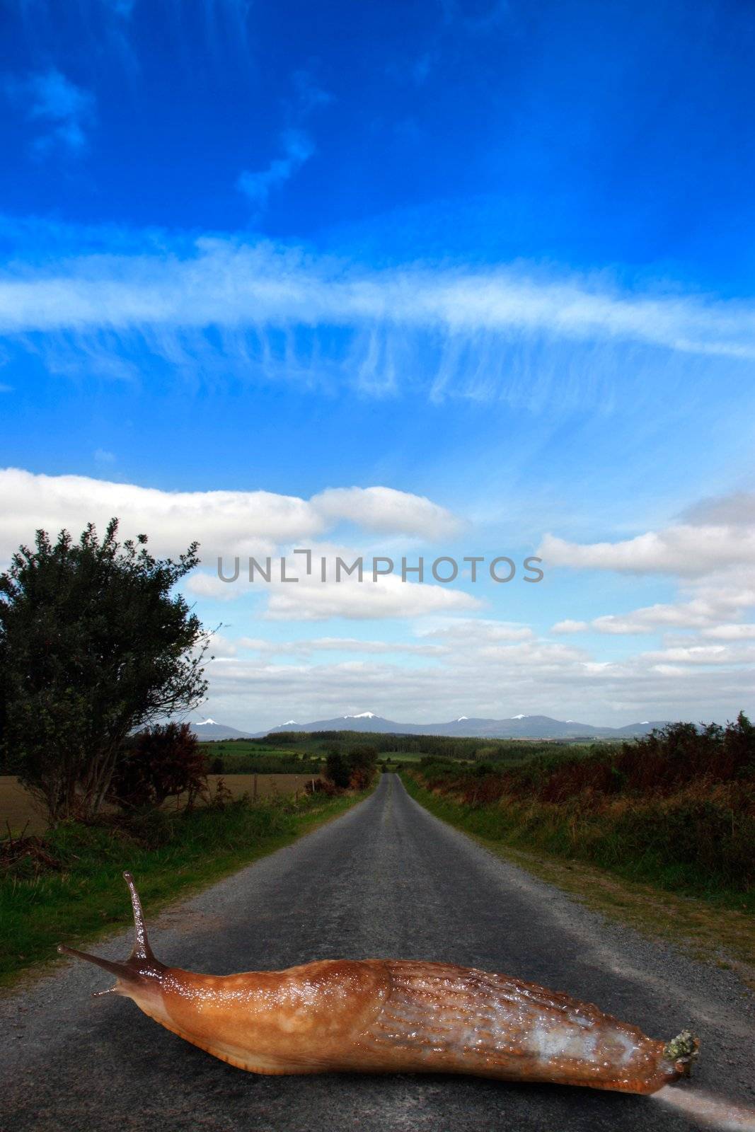 a long road ahead with clipping path by morrbyte