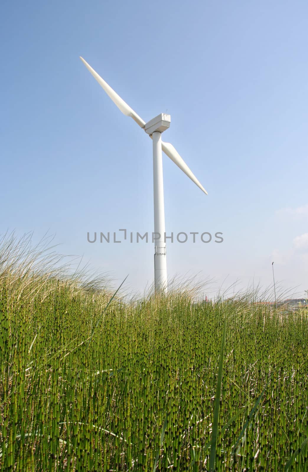 Wind turbine in the dunes