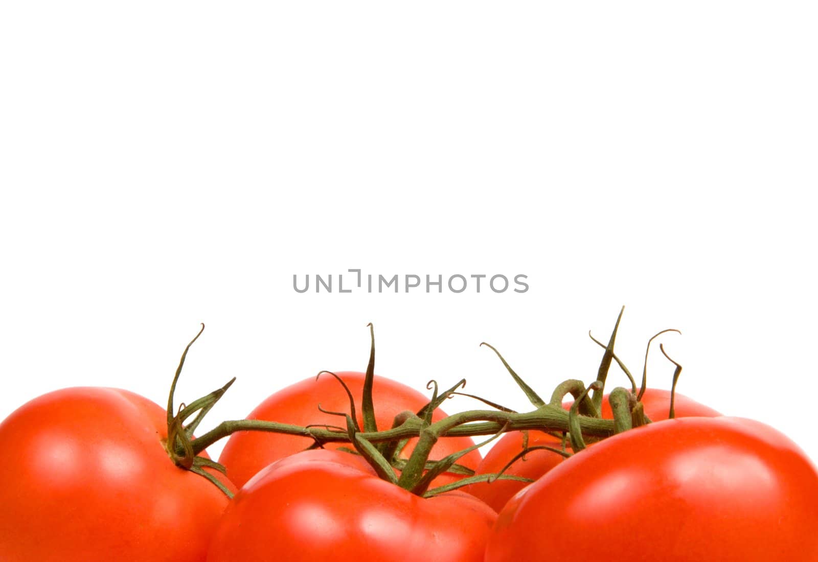 Red juicy tomatoes on a white background