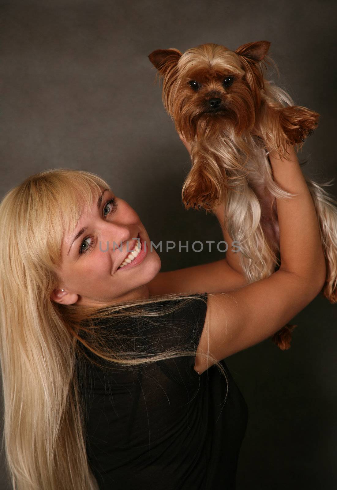 Yorkshire terrier by friday