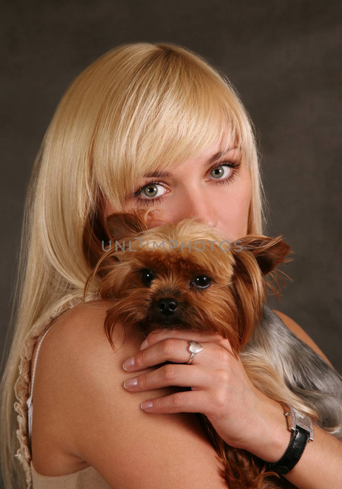 The girl holds the puppy of the yorkshire terrier