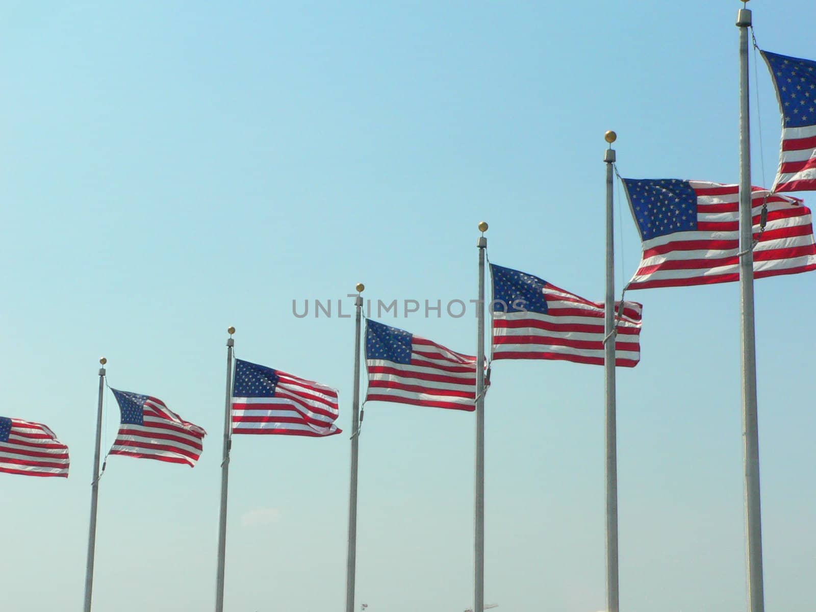 Several American flags in a row.