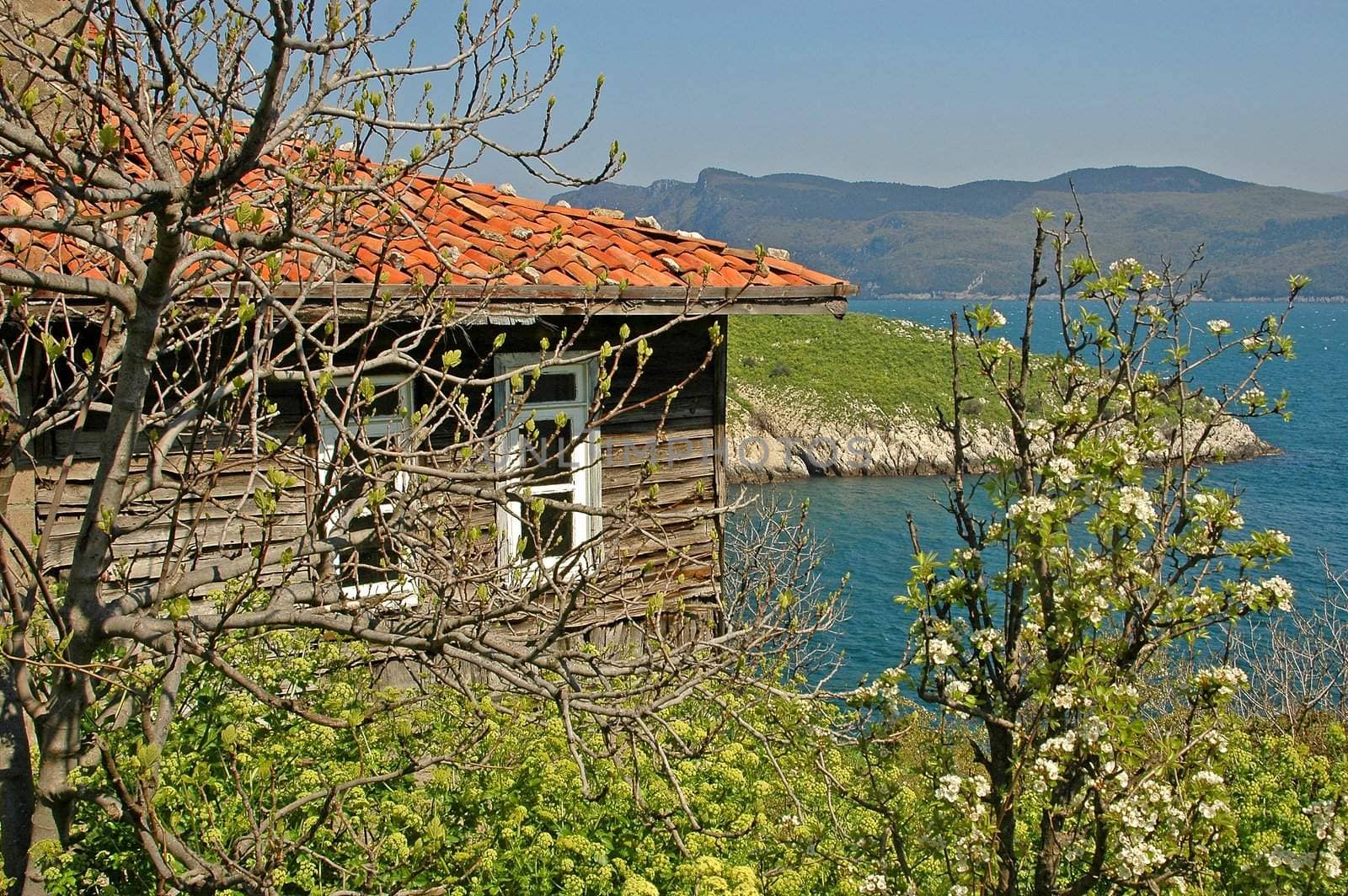 The Turkish city of Amasra in the black sea