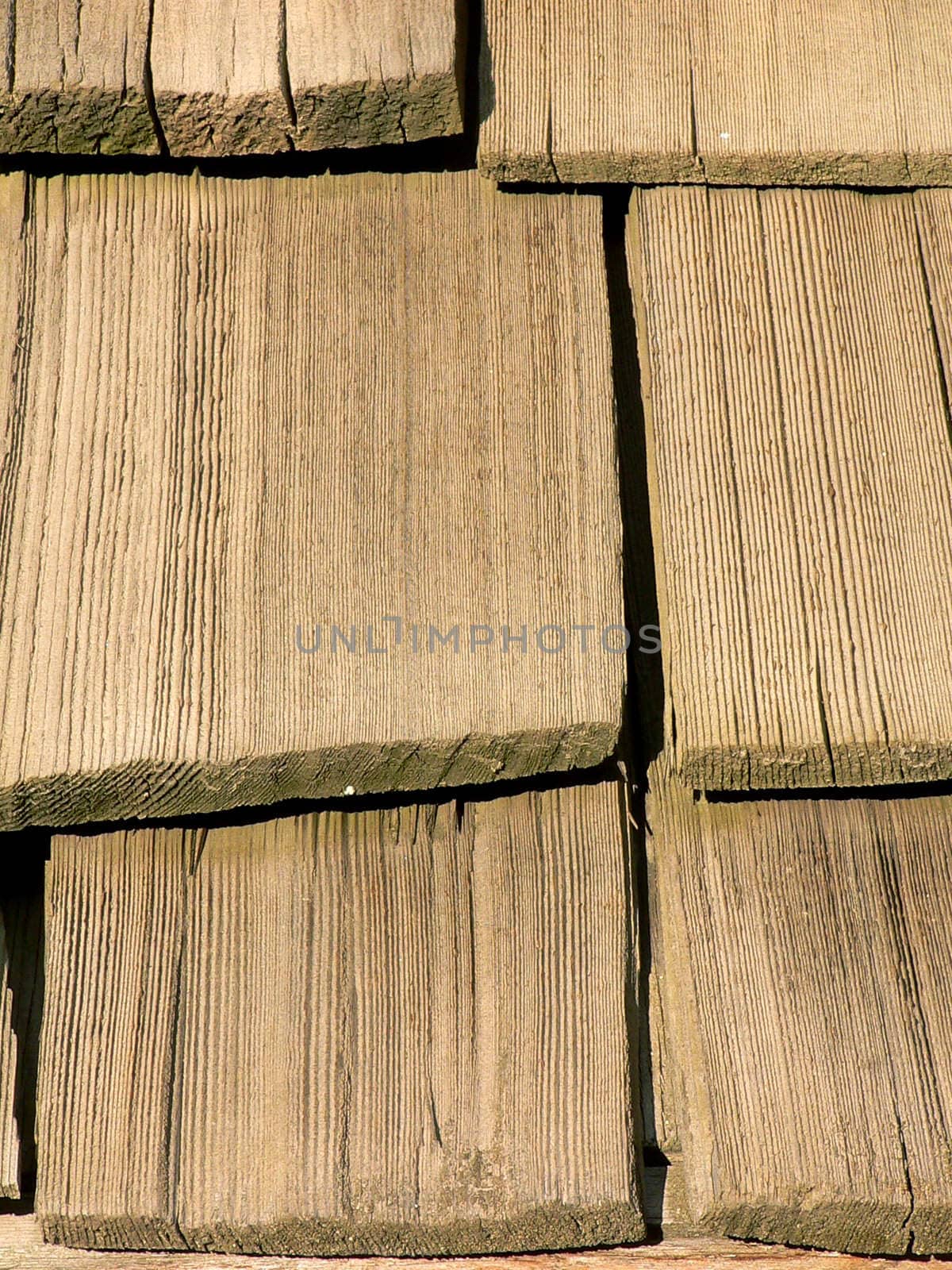 Wooden Shingles by telecast