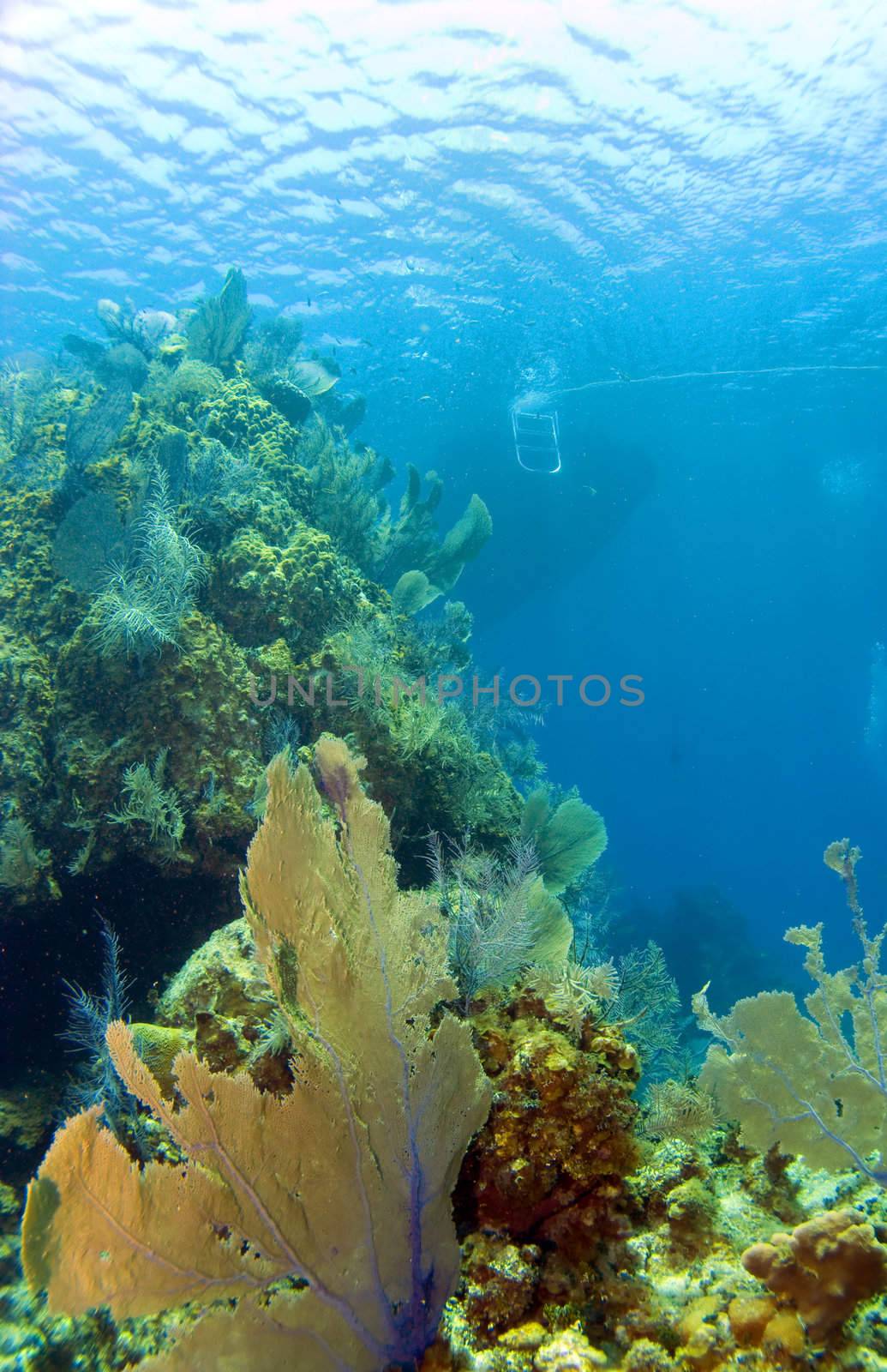 Cayman Brac Reef with Boat by KevinPanizza