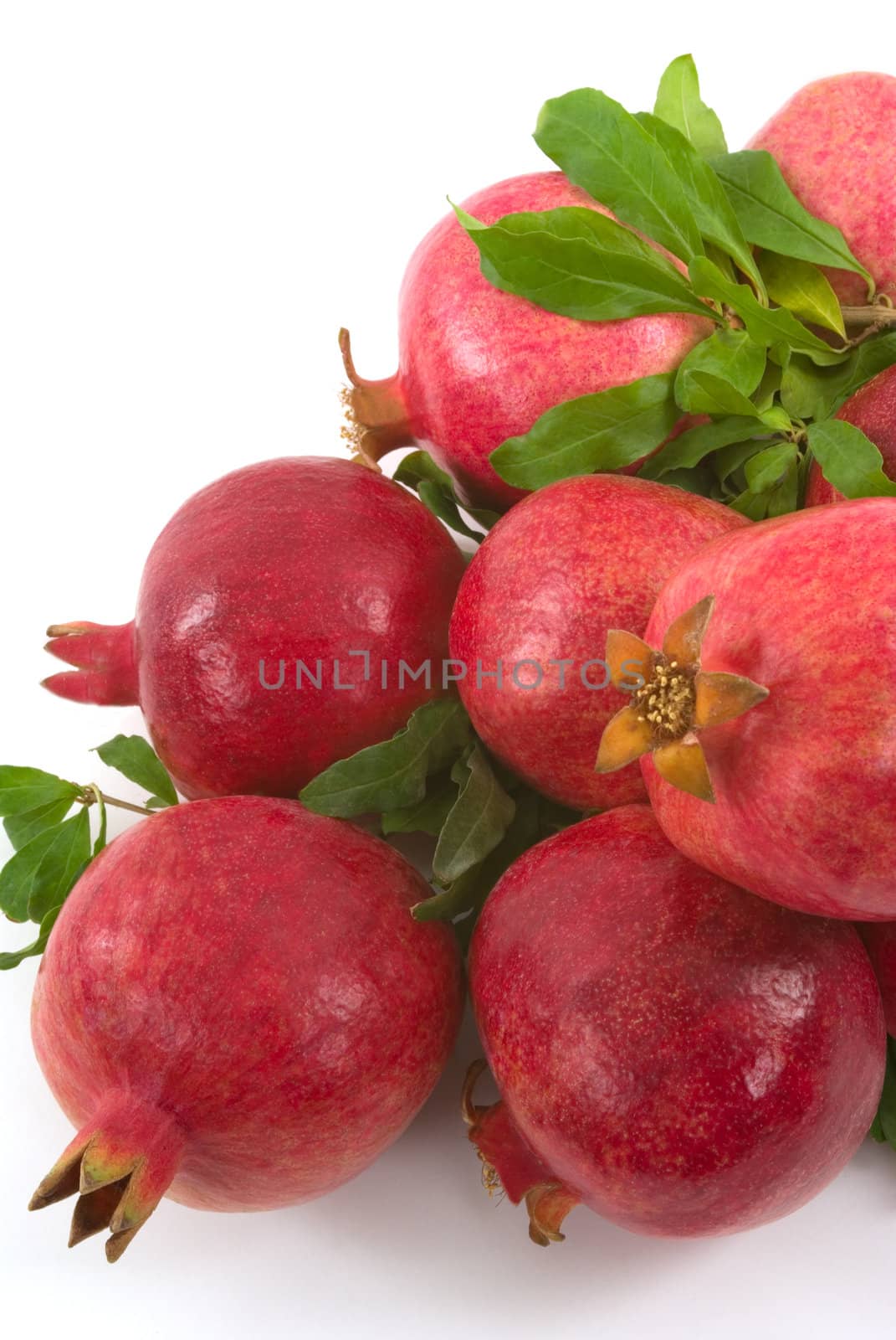 Organic Pomegranates by BVDC