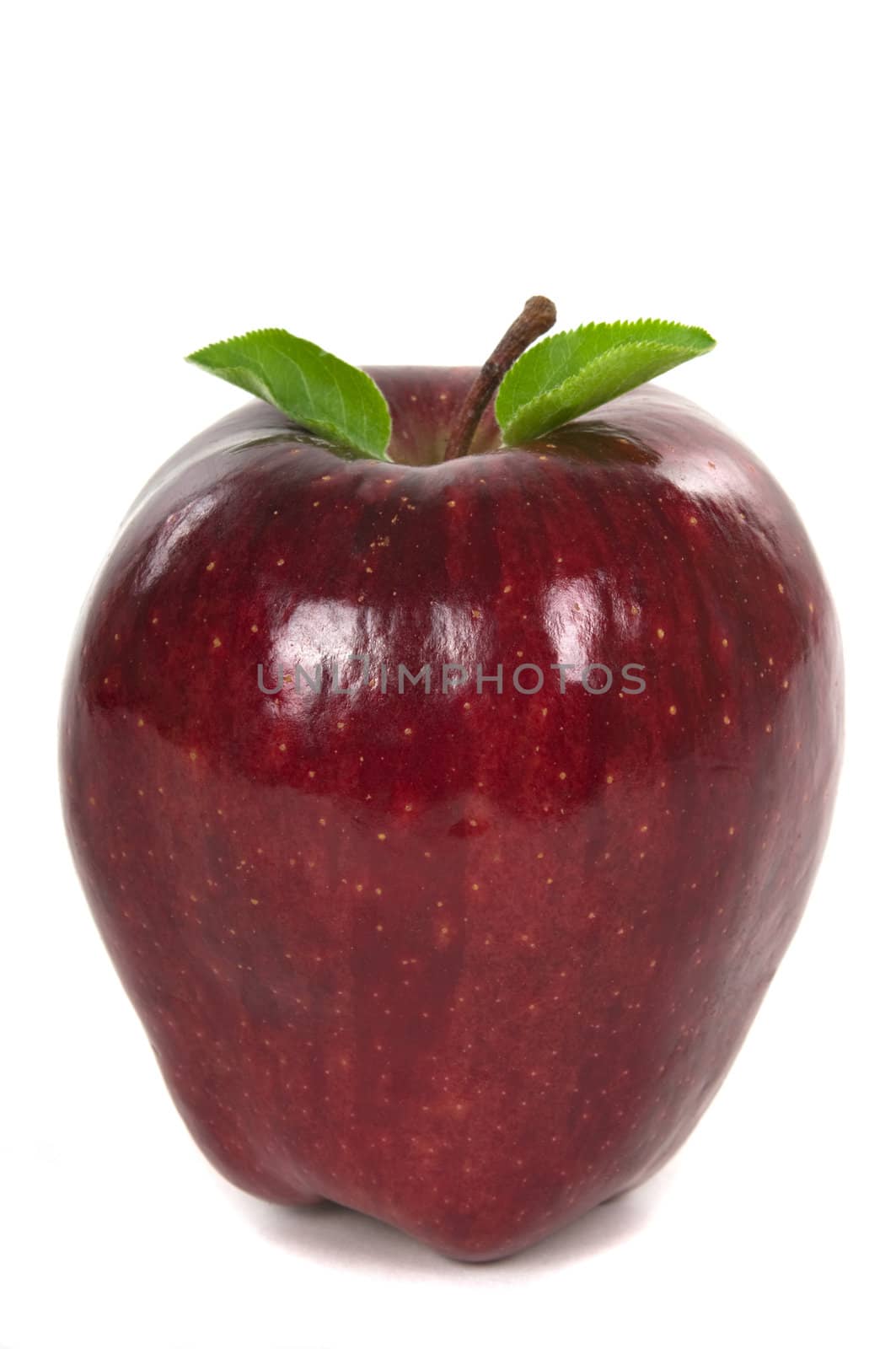 Organic red apple with leaves