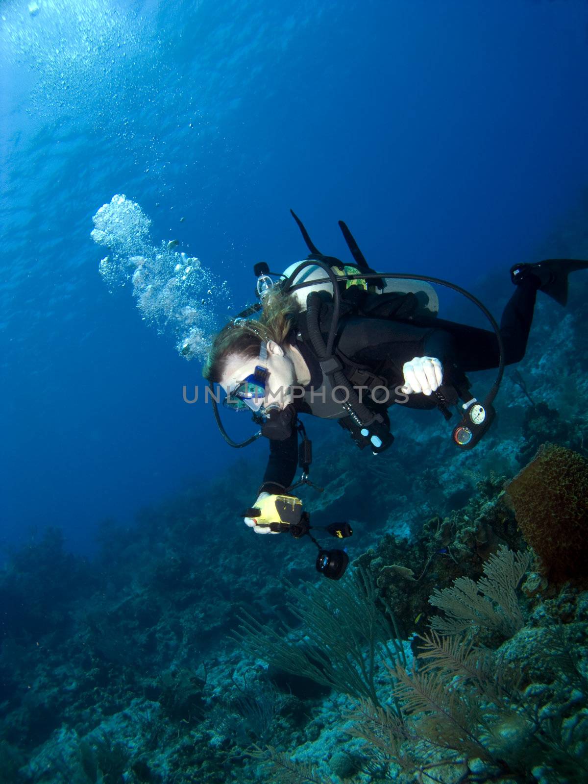 Underwater Photographer swimming over a Reef by KevinPanizza
