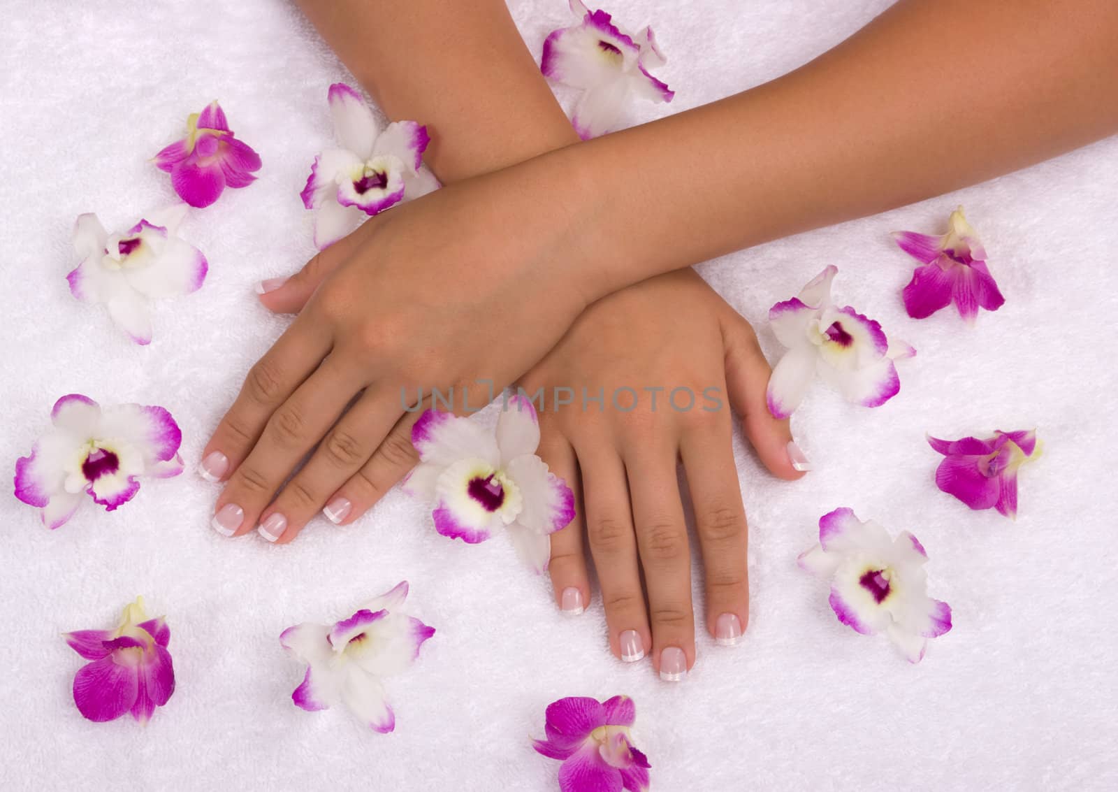 Spa with elegant orchids