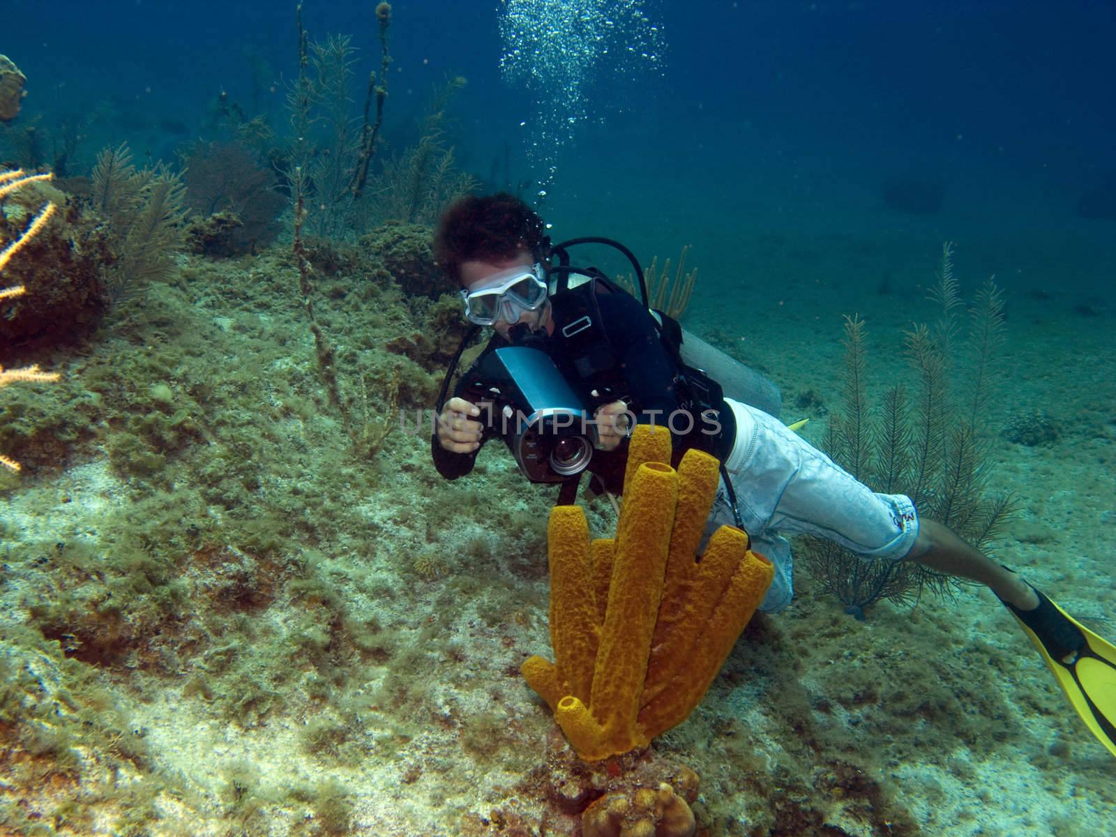 Underwater Videographer shooting a Tube Sponge in Cayman Brac