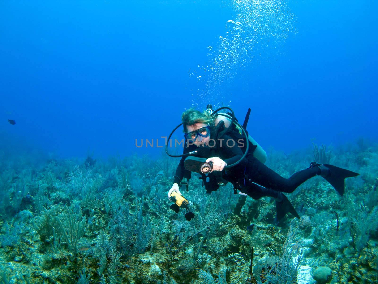 Scuba Diver Checking Gauges by KevinPanizza