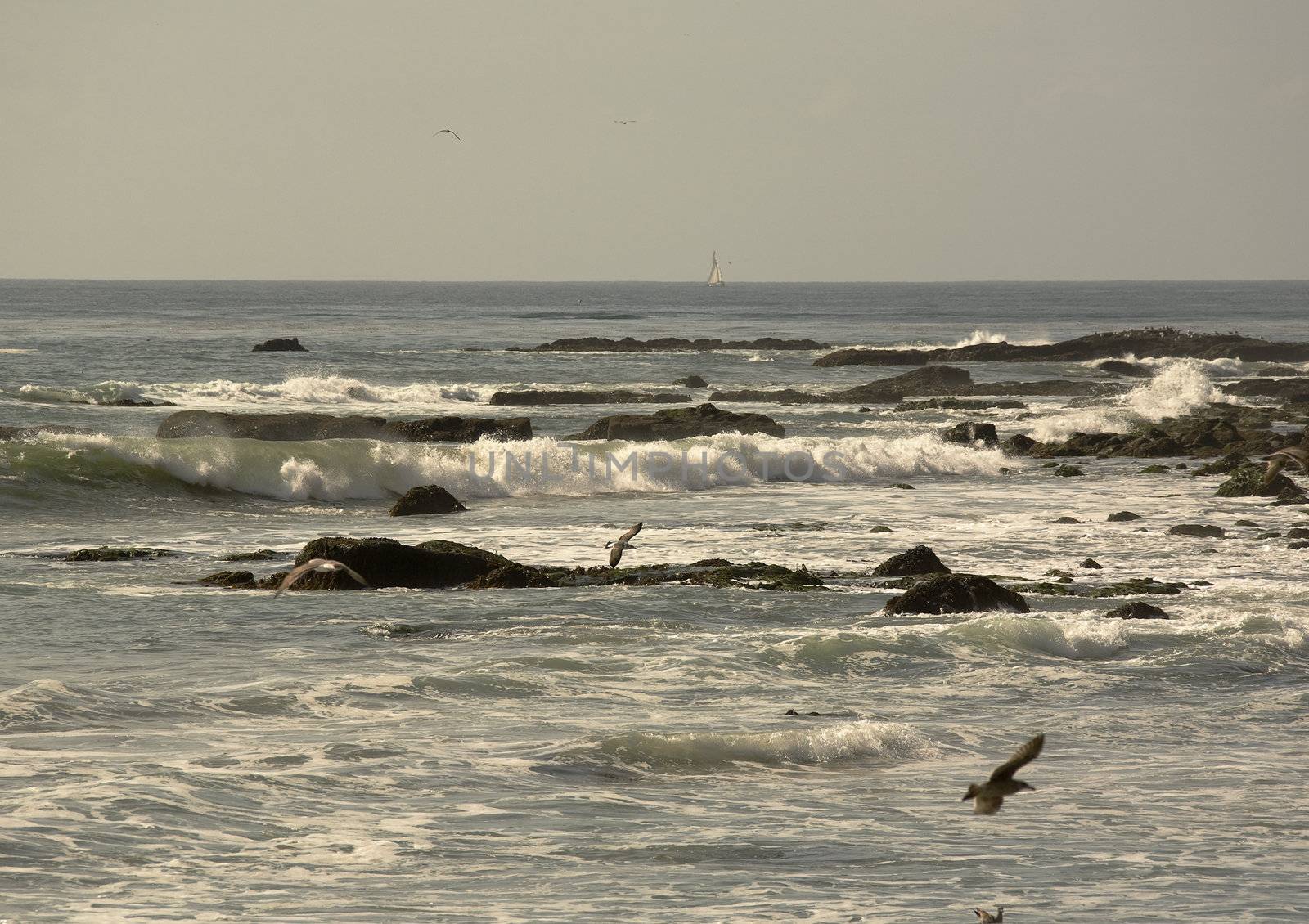 Dana Point at the tip of the Headlands